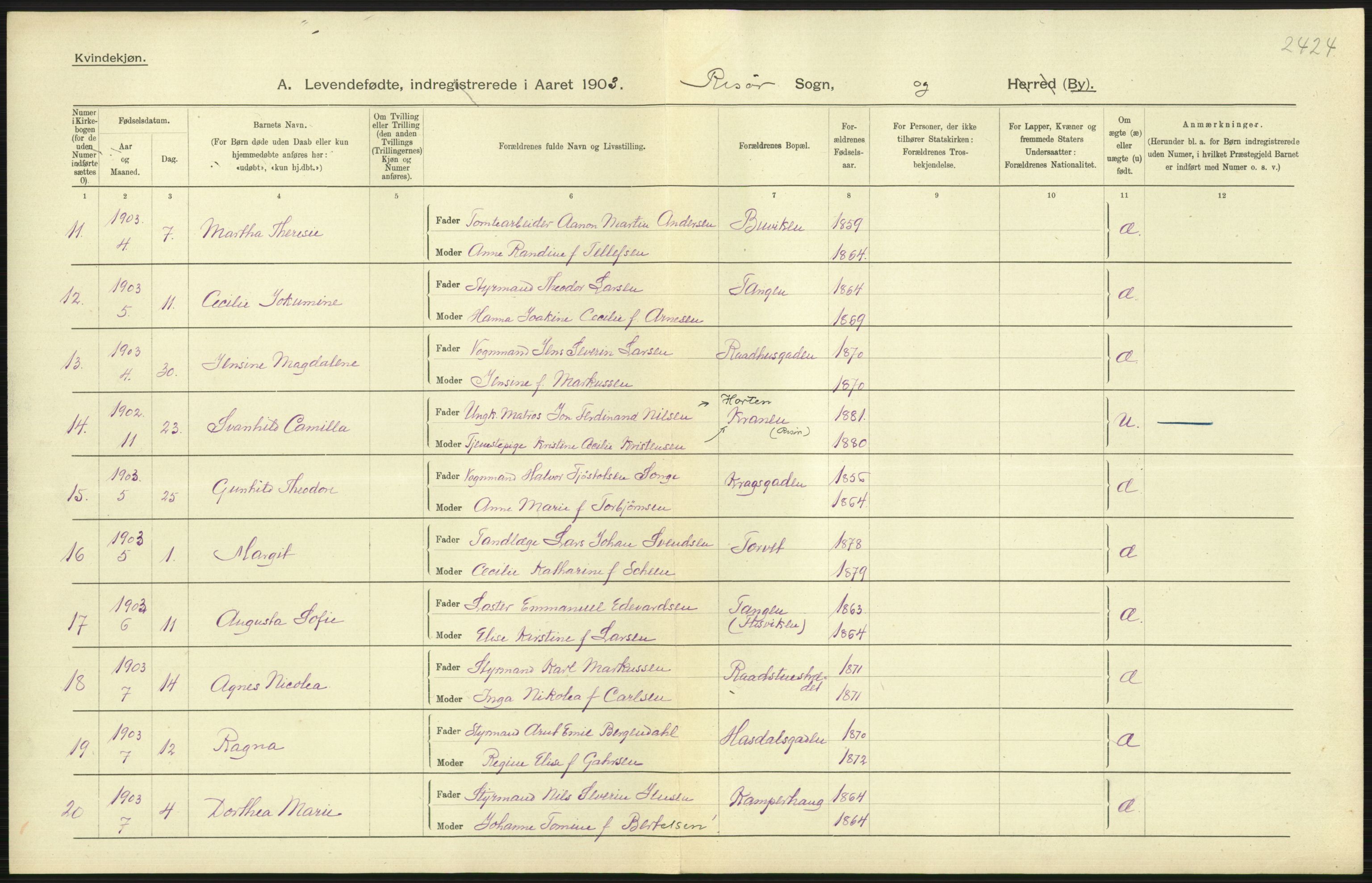 Statistisk sentralbyrå, Sosiodemografiske emner, Befolkning, AV/RA-S-2228/D/Df/Dfa/Dfaa/L0010: Nedenes amt: Fødte, gifte, døde, 1903, p. 211