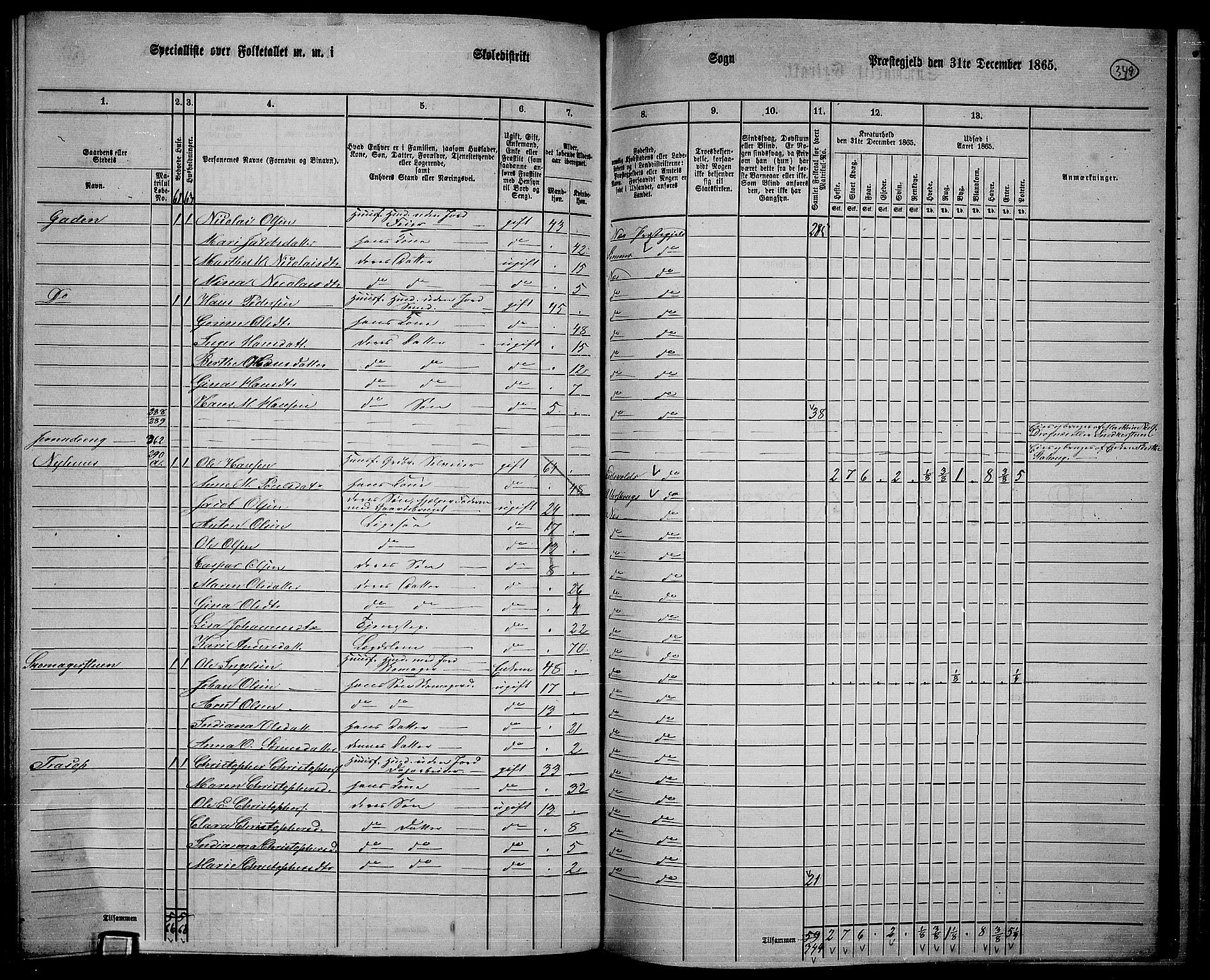 RA, 1865 census for Nes, 1865, p. 319