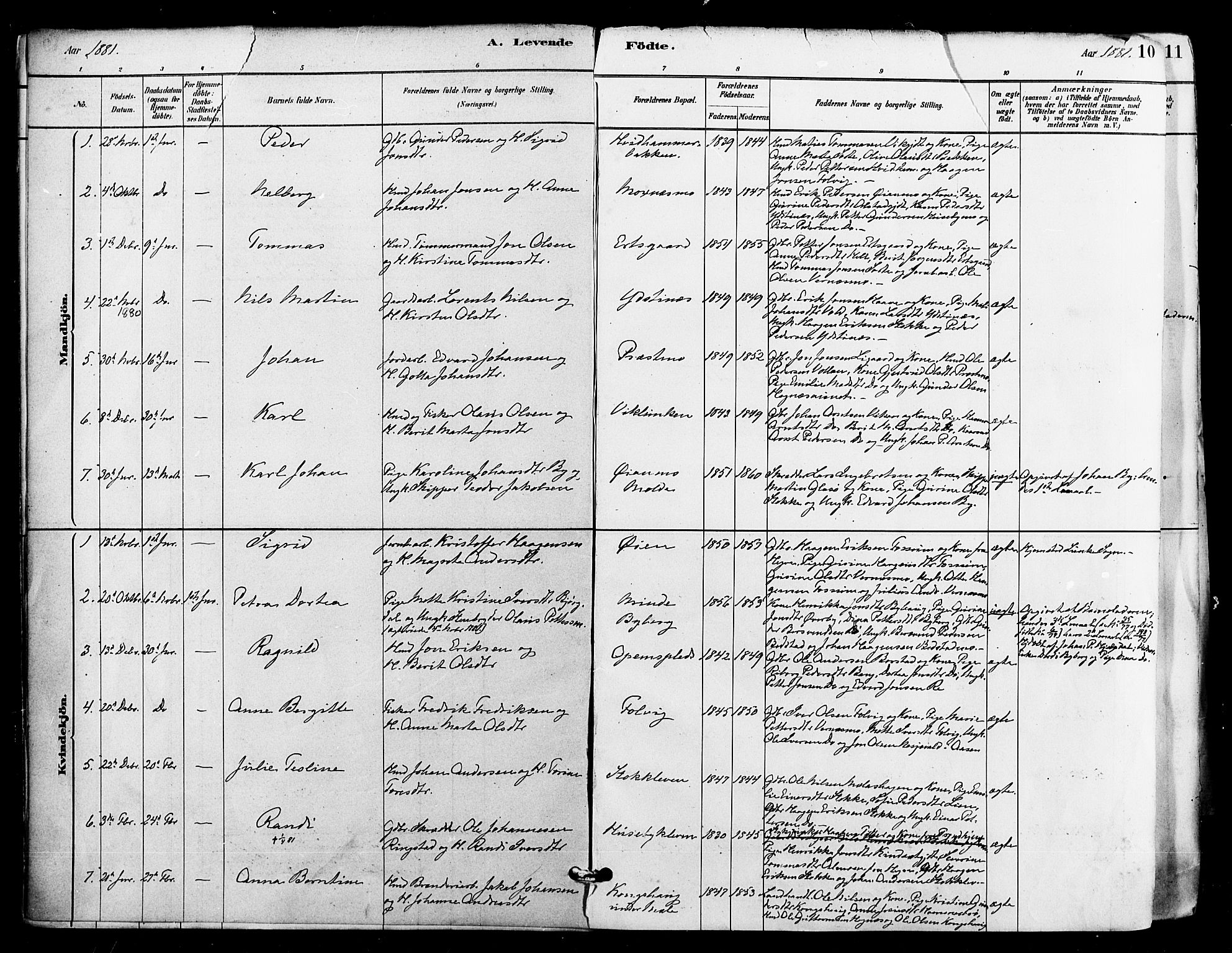 Ministerialprotokoller, klokkerbøker og fødselsregistre - Nord-Trøndelag, SAT/A-1458/709/L0077: Parish register (official) no. 709A17, 1880-1895, p. 10