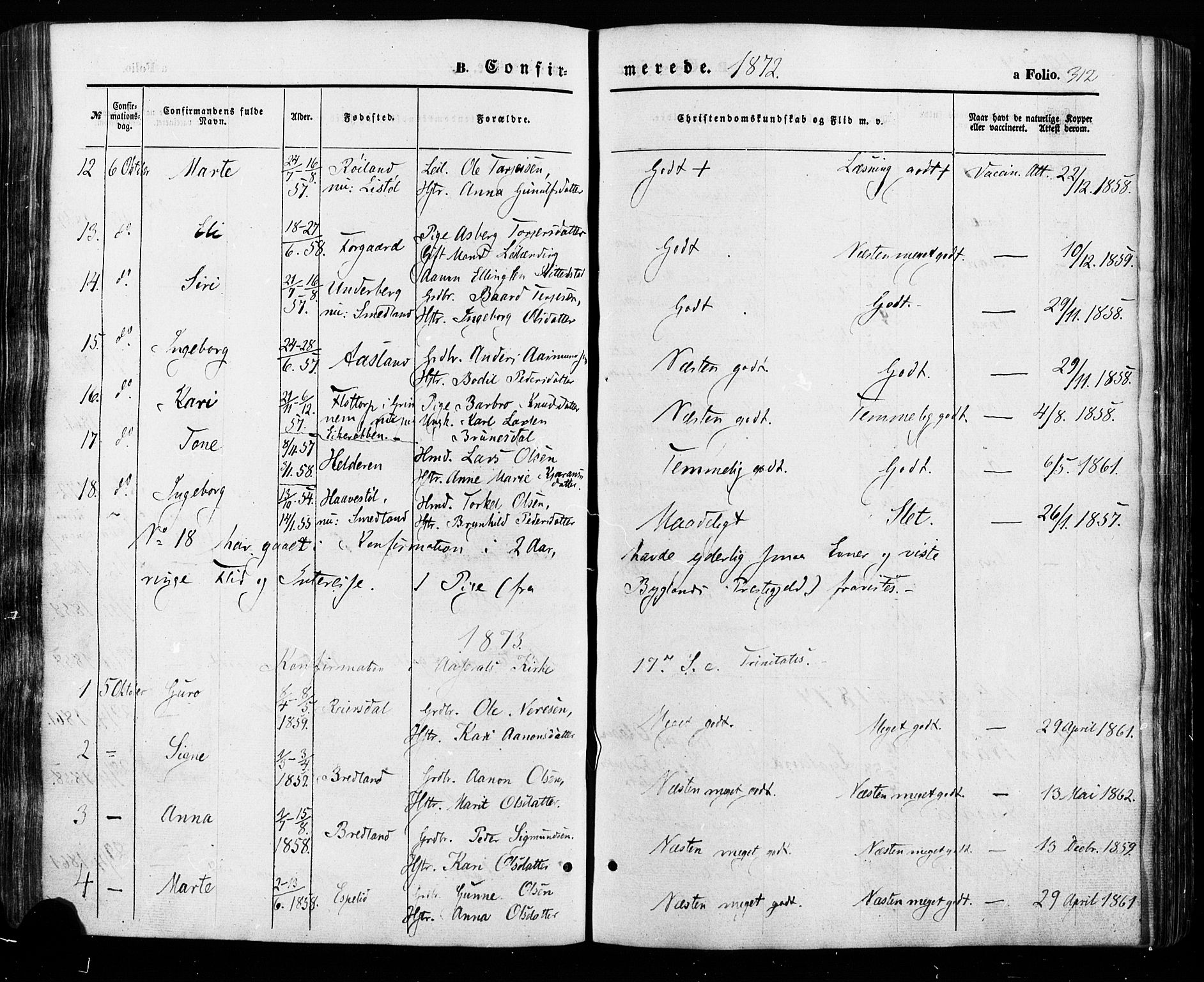 Åseral sokneprestkontor, SAK/1111-0051/F/Fa/L0002: Parish register (official) no. A 2, 1854-1884, p. 312