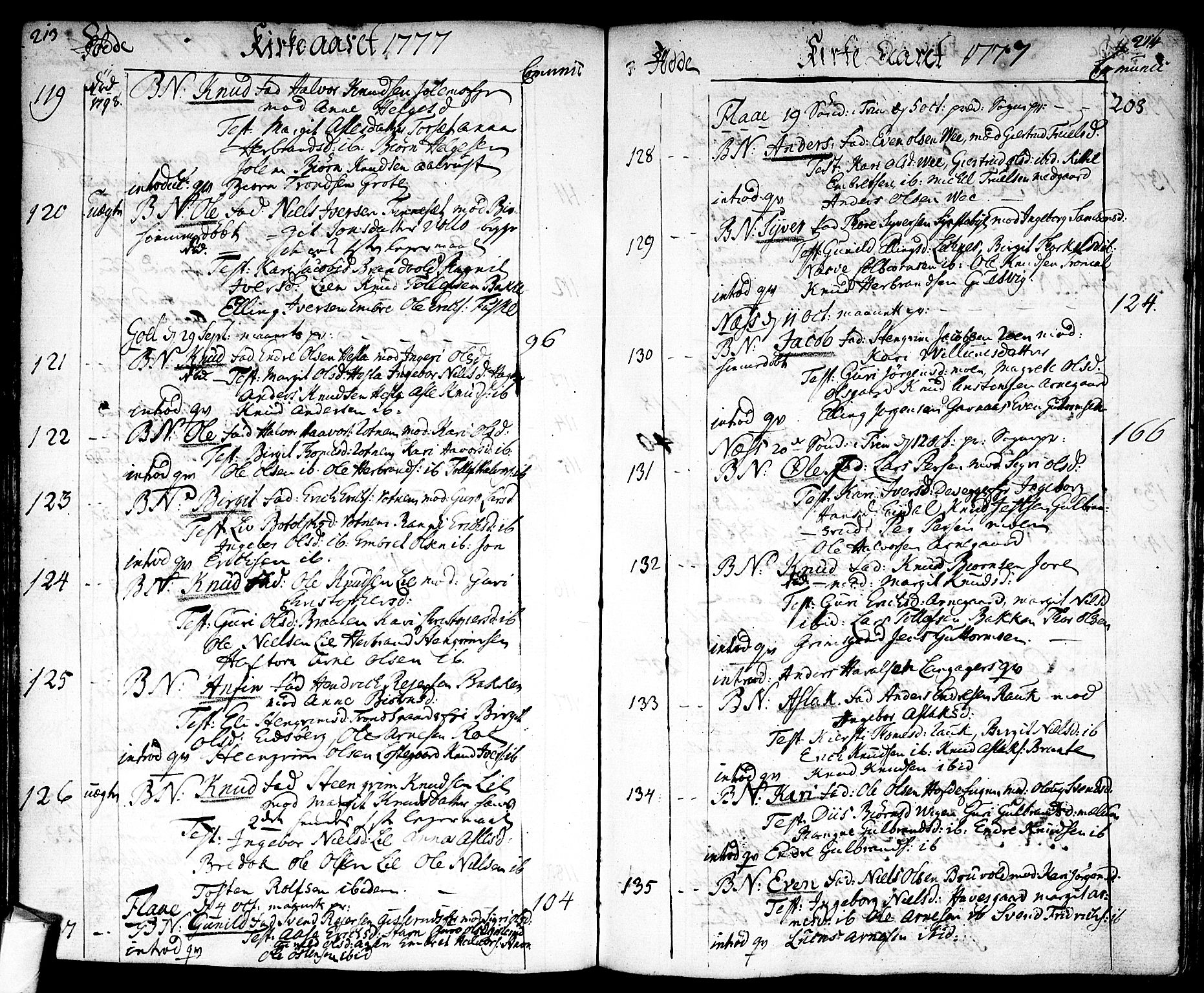 Nes kirkebøker, AV/SAKO-A-236/F/Fa/L0004: Parish register (official) no. 4, 1764-1786, p. 213-214