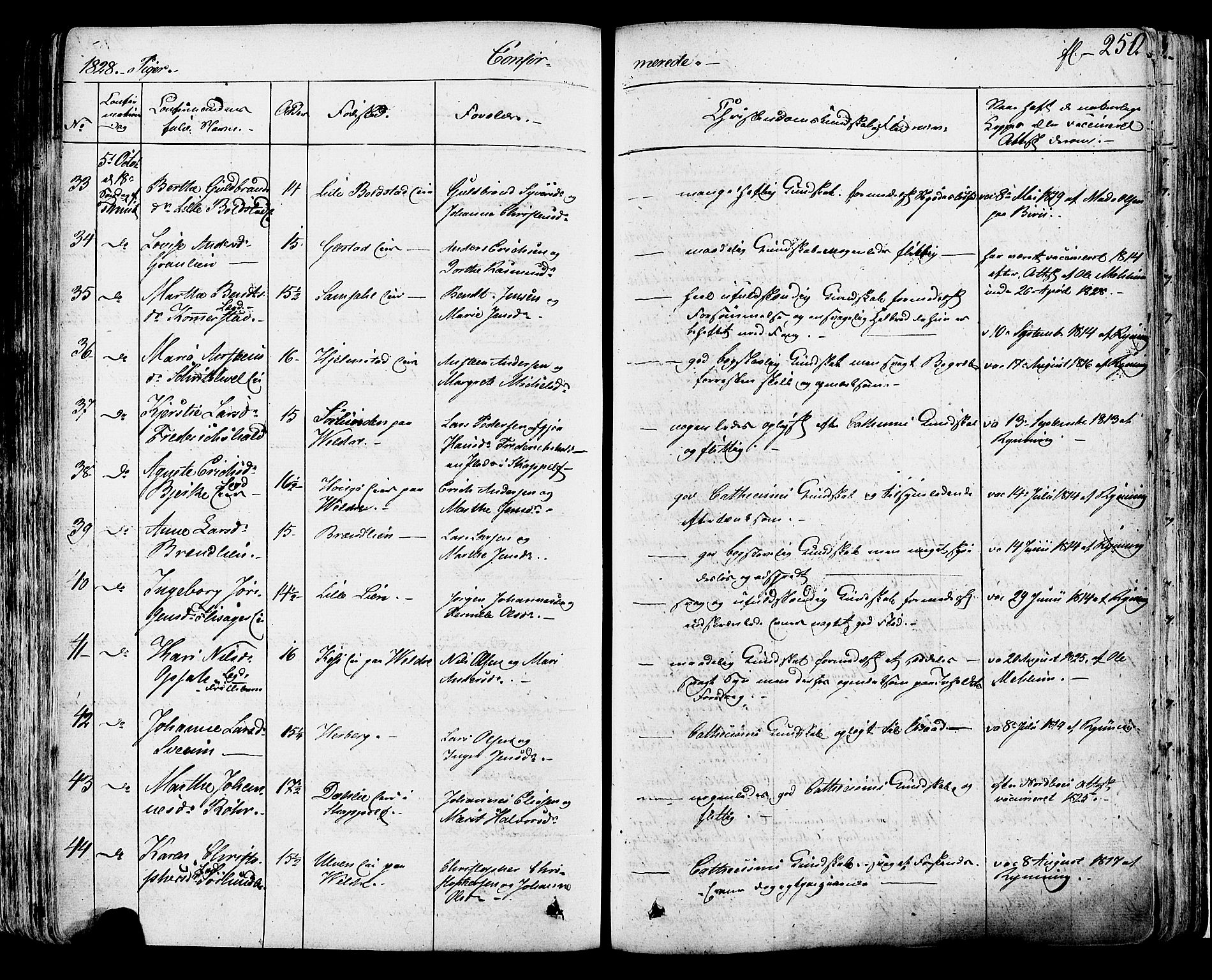 Ringsaker prestekontor, AV/SAH-PREST-014/K/Ka/L0007: Parish register (official) no. 7A, 1826-1837, p. 250