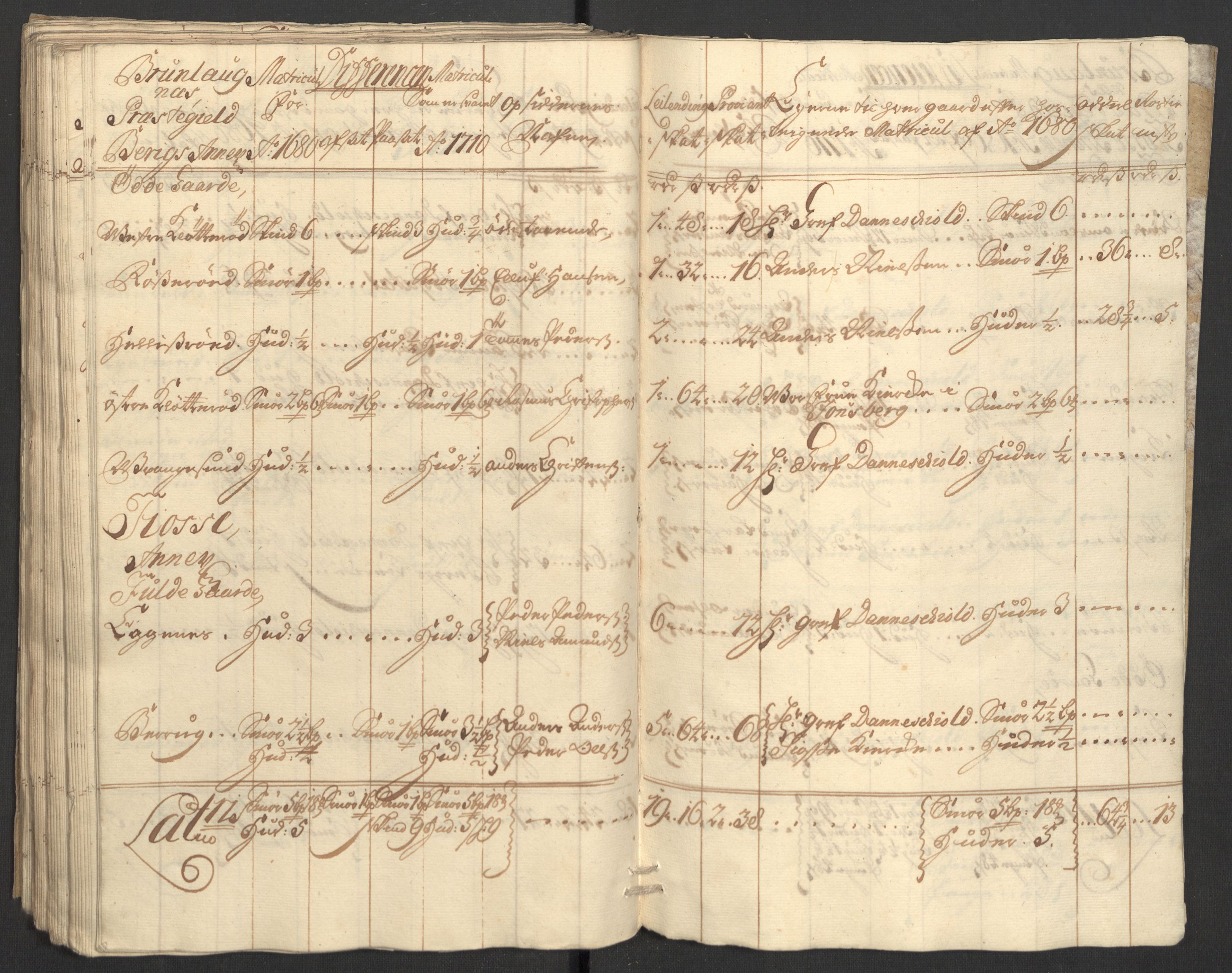 Rentekammeret inntil 1814, Reviderte regnskaper, Fogderegnskap, RA/EA-4092/R33/L1981: Fogderegnskap Larvik grevskap, 1709-1710, p. 376