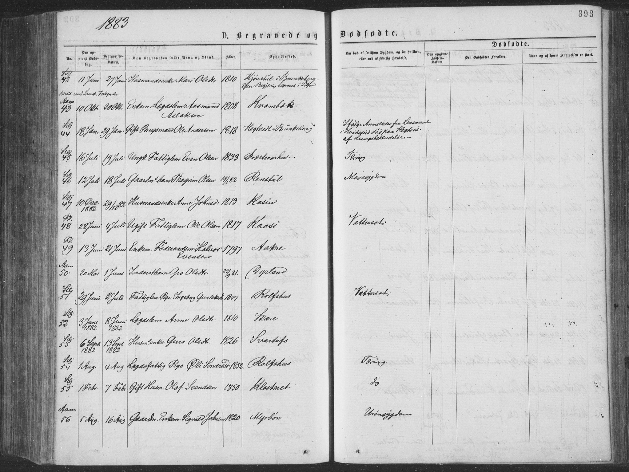 Seljord kirkebøker, AV/SAKO-A-20/F/Fa/L0014: Parish register (official) no. I 14, 1877-1886, p. 393