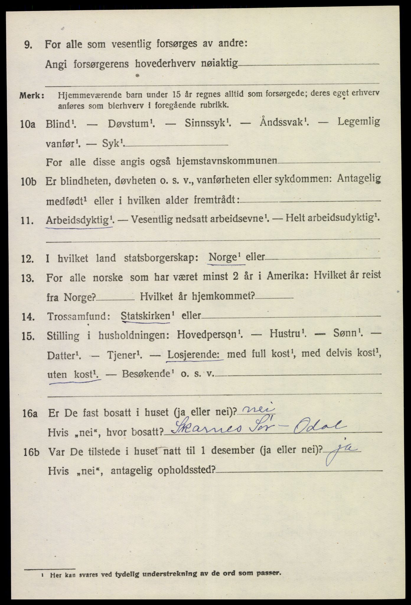 SAH, 1920 census for Sør-Odal, 1920, p. 12124