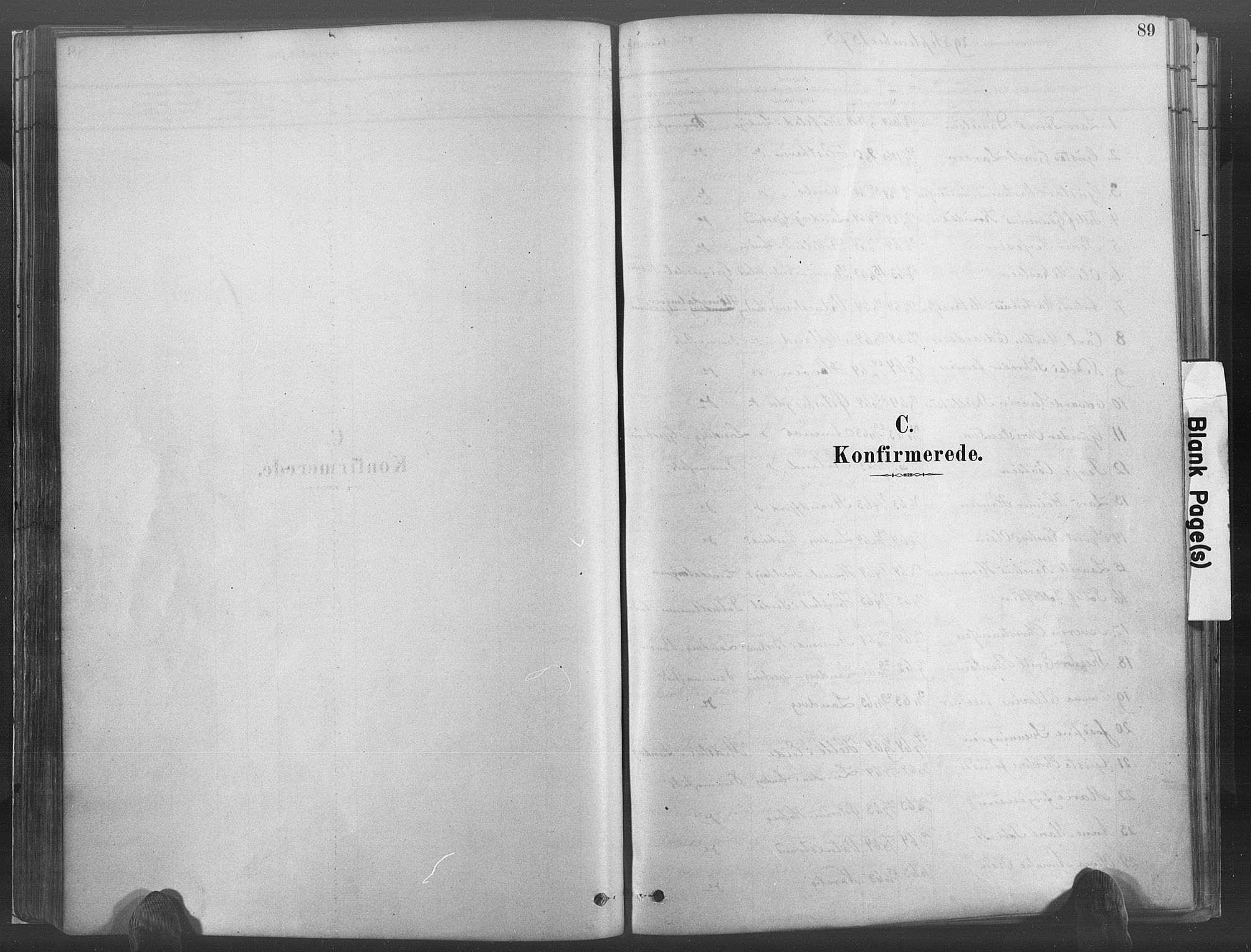 Hommedal sokneprestkontor, SAK/1111-0023/F/Fa/Fab/L0006: Parish register (official) no. A 6, 1878-1897, p. 89