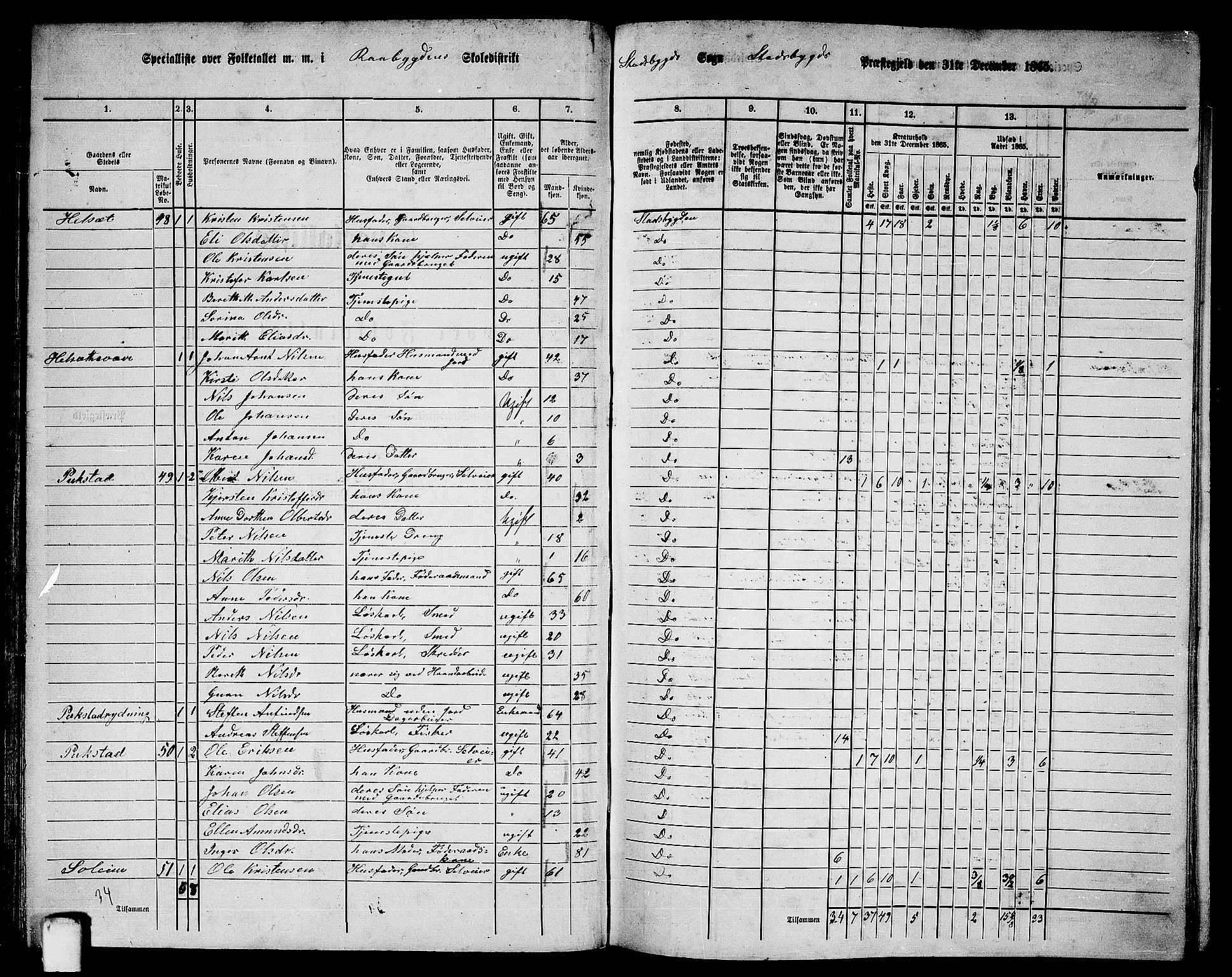 RA, 1865 census for Stadsbygd, 1865, p. 52