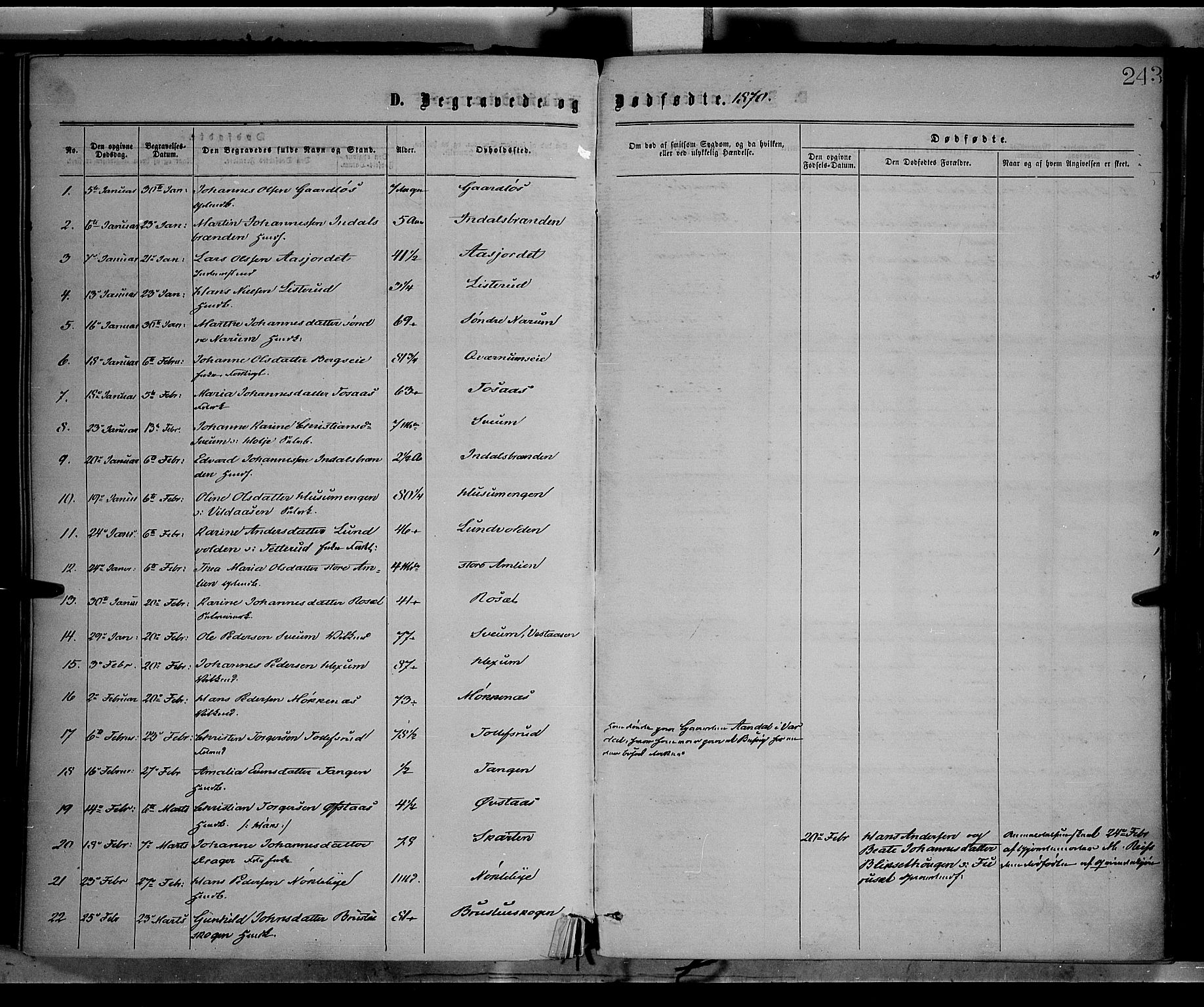 Vestre Toten prestekontor, SAH/PREST-108/H/Ha/Haa/L0008: Parish register (official) no. 8, 1870-1877, p. 243