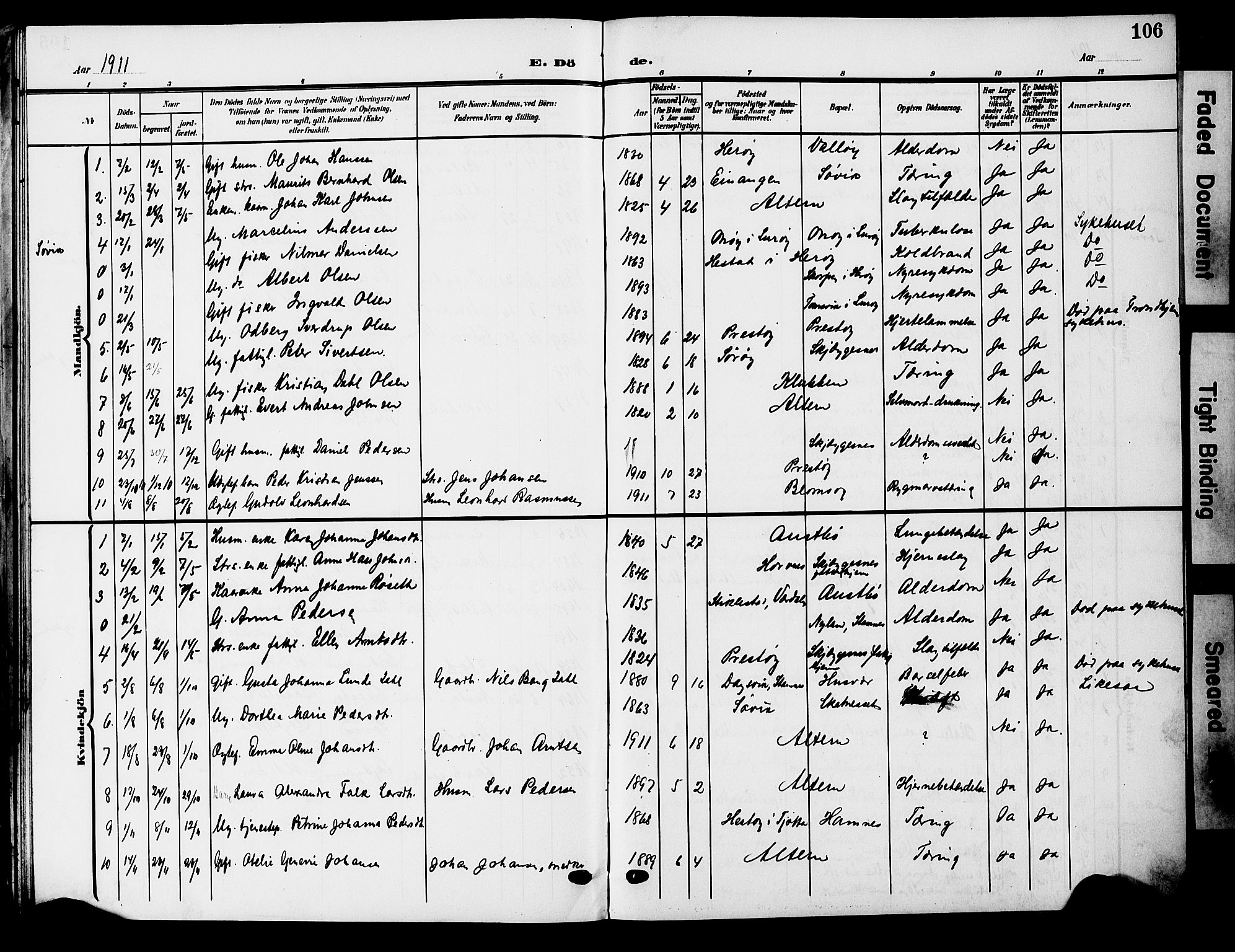 Ministerialprotokoller, klokkerbøker og fødselsregistre - Nordland, AV/SAT-A-1459/830/L0464: Parish register (copy) no. 830C06, 1906-1925, p. 106