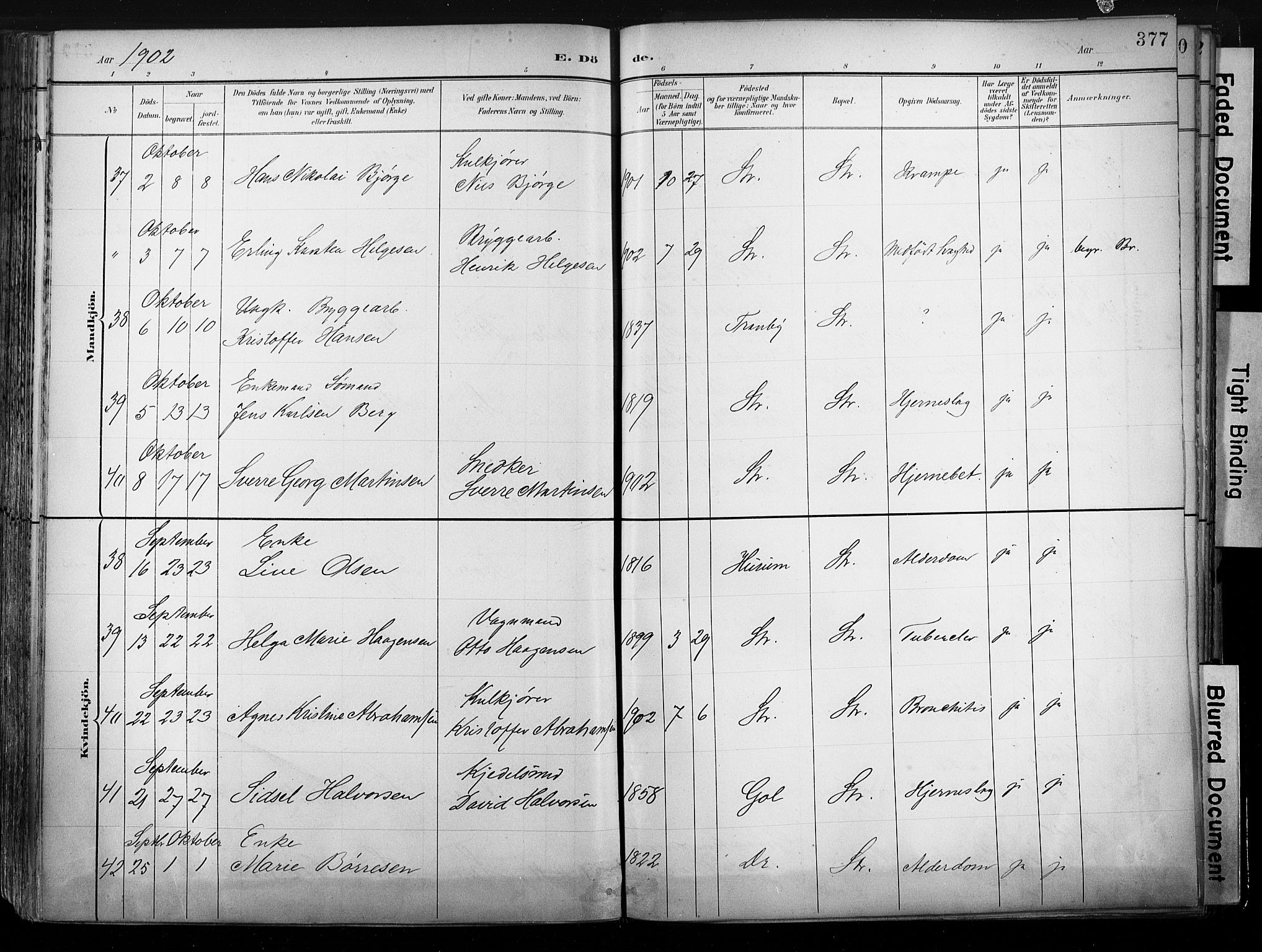 Strømsø kirkebøker, AV/SAKO-A-246/G/Ga/L0003: Parish register (copy) no. 3, 1894-1904, p. 377