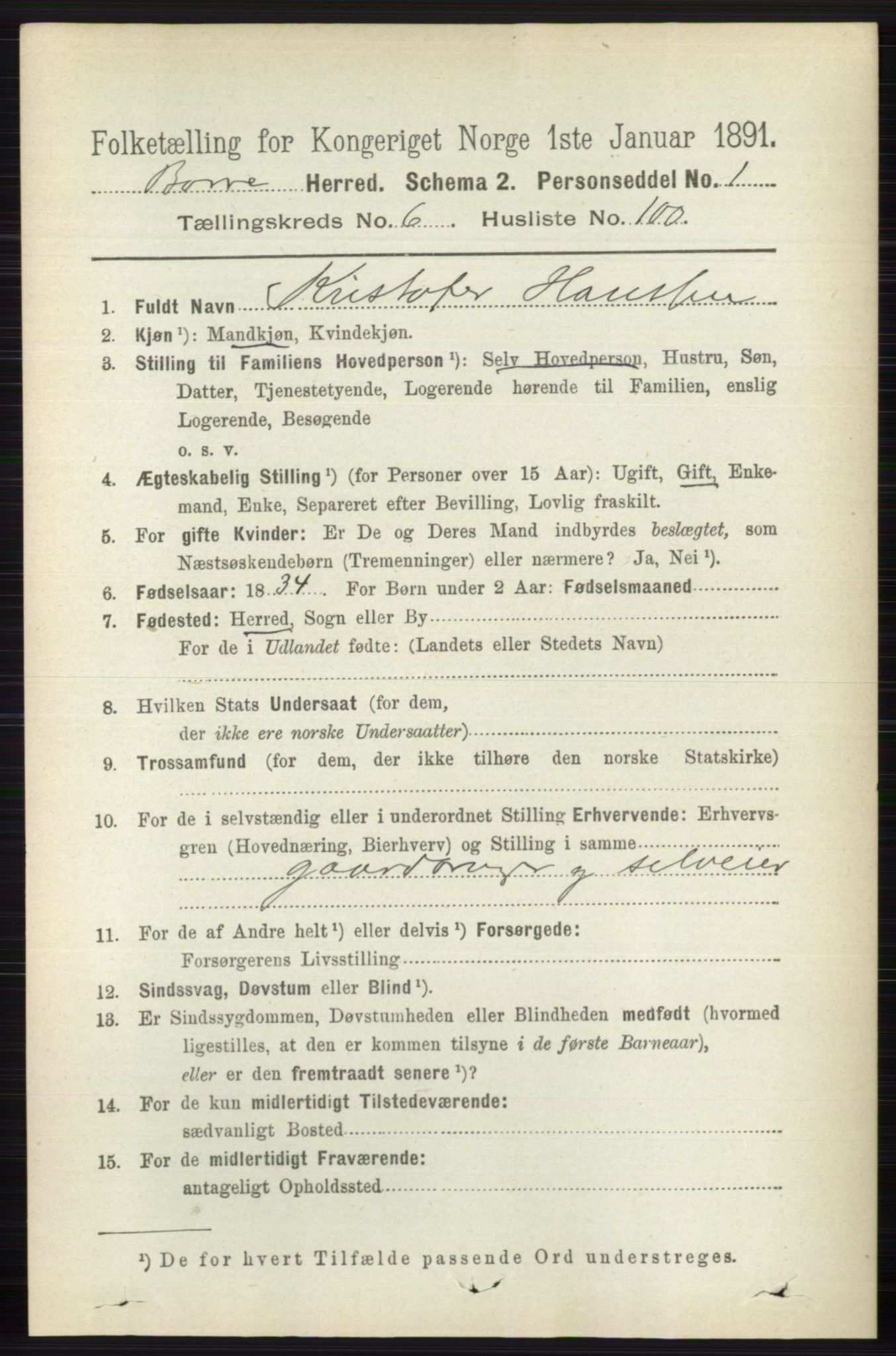 RA, 1891 census for 0717 Borre, 1891, p. 3129