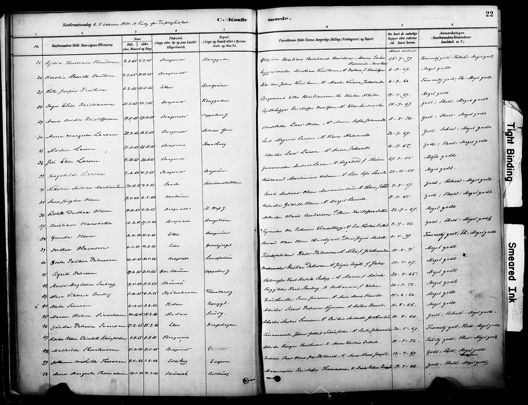 Bragernes kirkebøker, SAKO/A-6/F/Fc/L0005: Parish register (official) no. III 5, 1878-1890, p. 22
