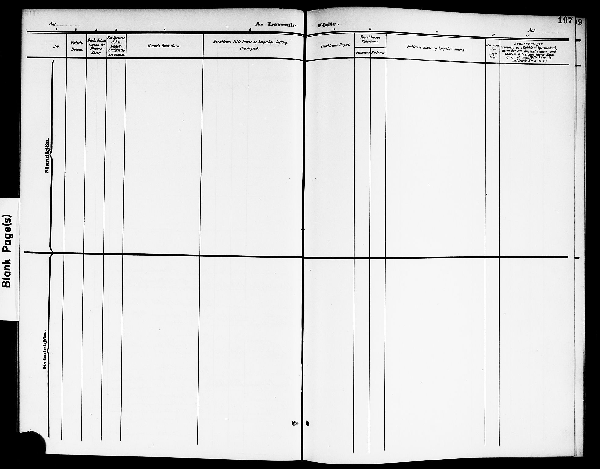 Nes prestekontor Kirkebøker, SAO/A-10410/G/Ga/L0002: Parish register (copy) no. I 2, 1901-1912, p. 107