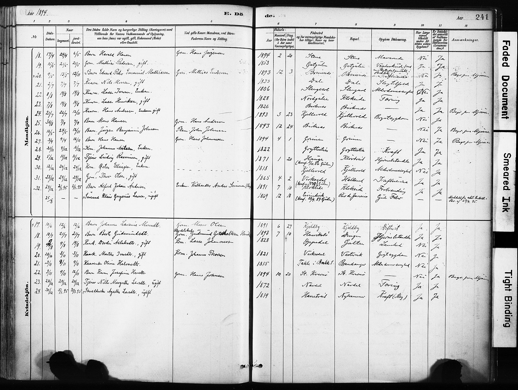 Gulen sokneprestembete, AV/SAB-A-80201/H/Haa/Haab/L0001: Parish register (official) no. B 1, 1881-1905, p. 241