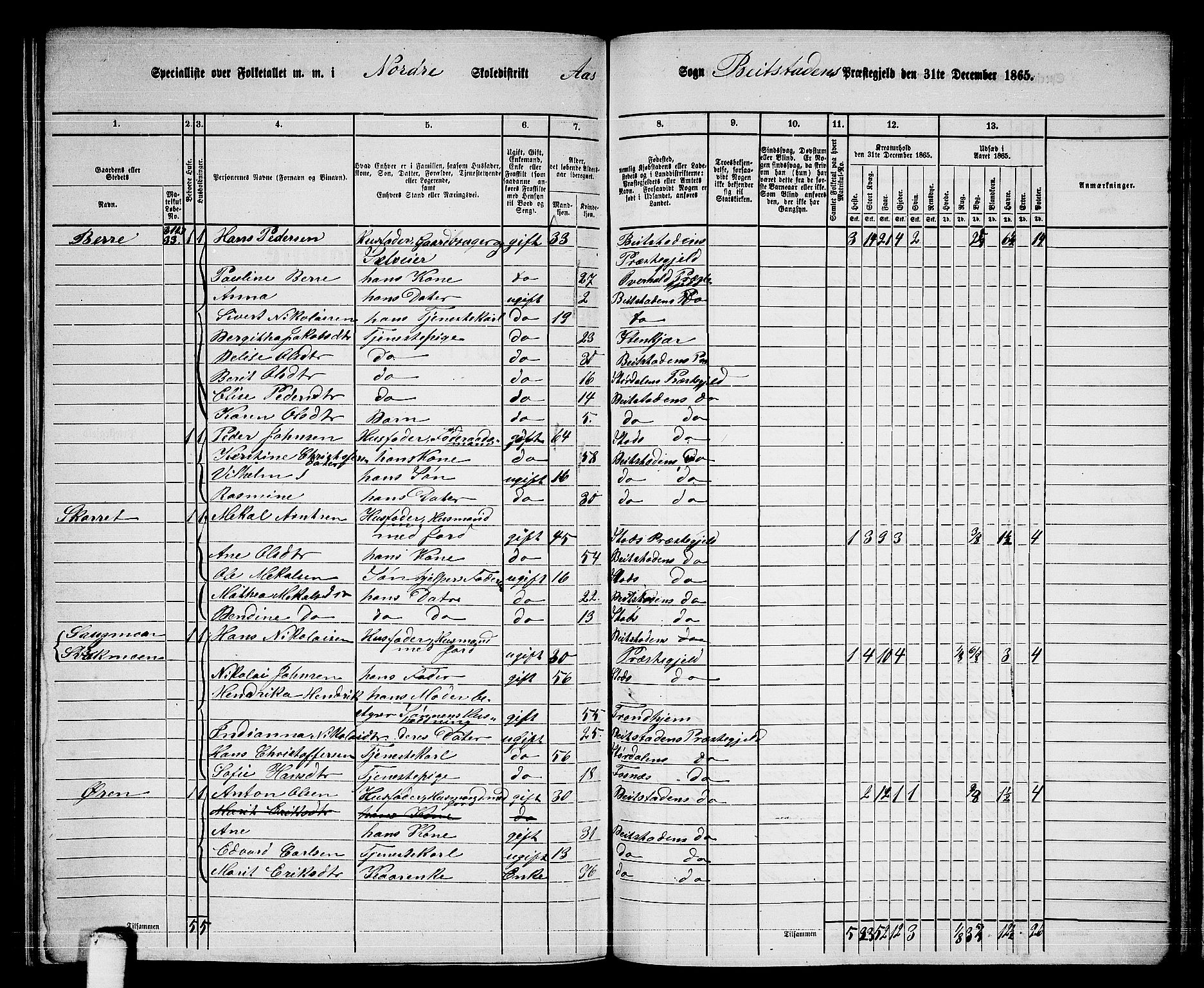 RA, 1865 census for Beitstad, 1865, p. 160