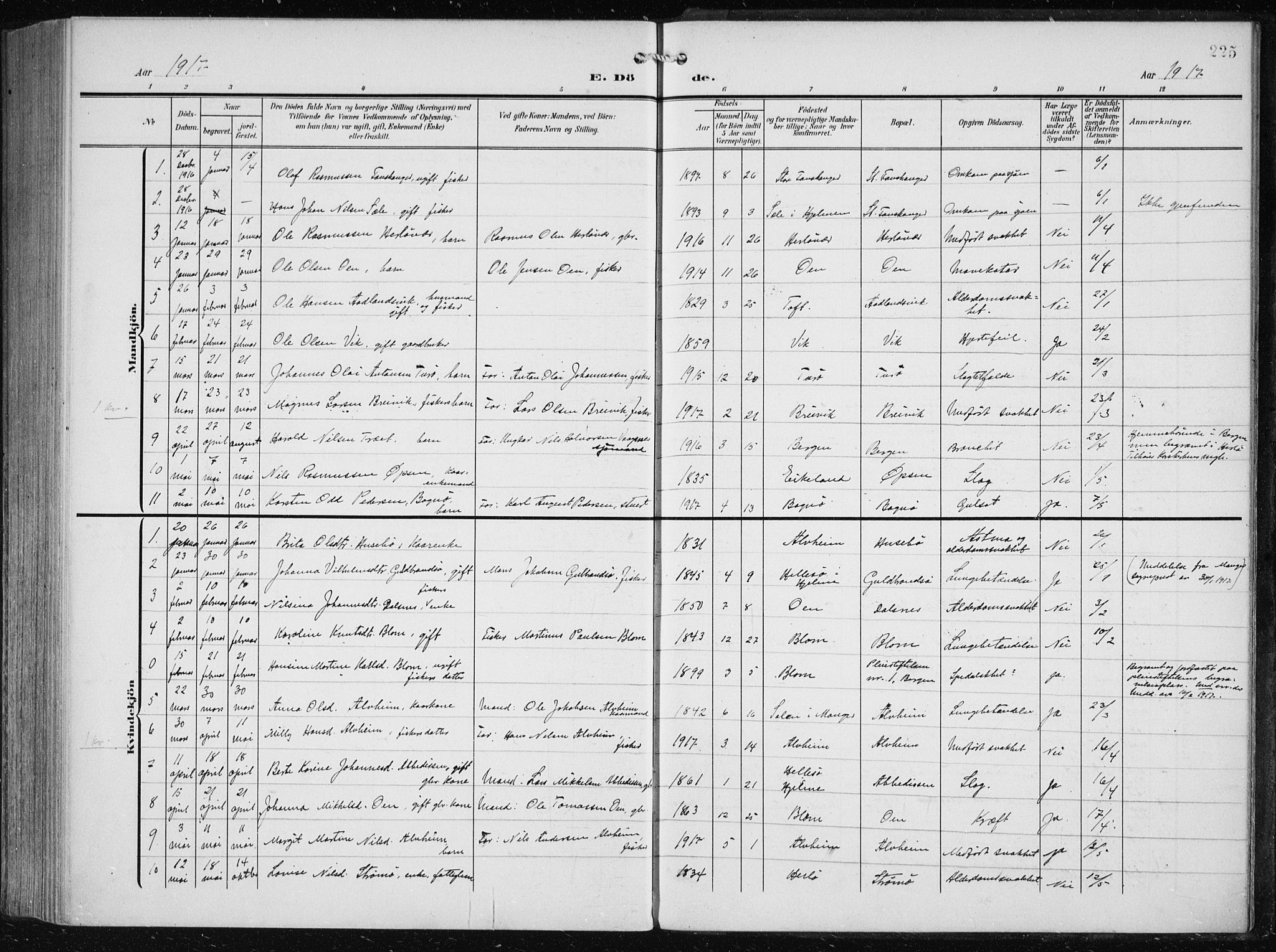 Herdla Sokneprestembete, SAB/A-75701/H/Haa: Parish register (official) no. A 5, 1905-1918, p. 225