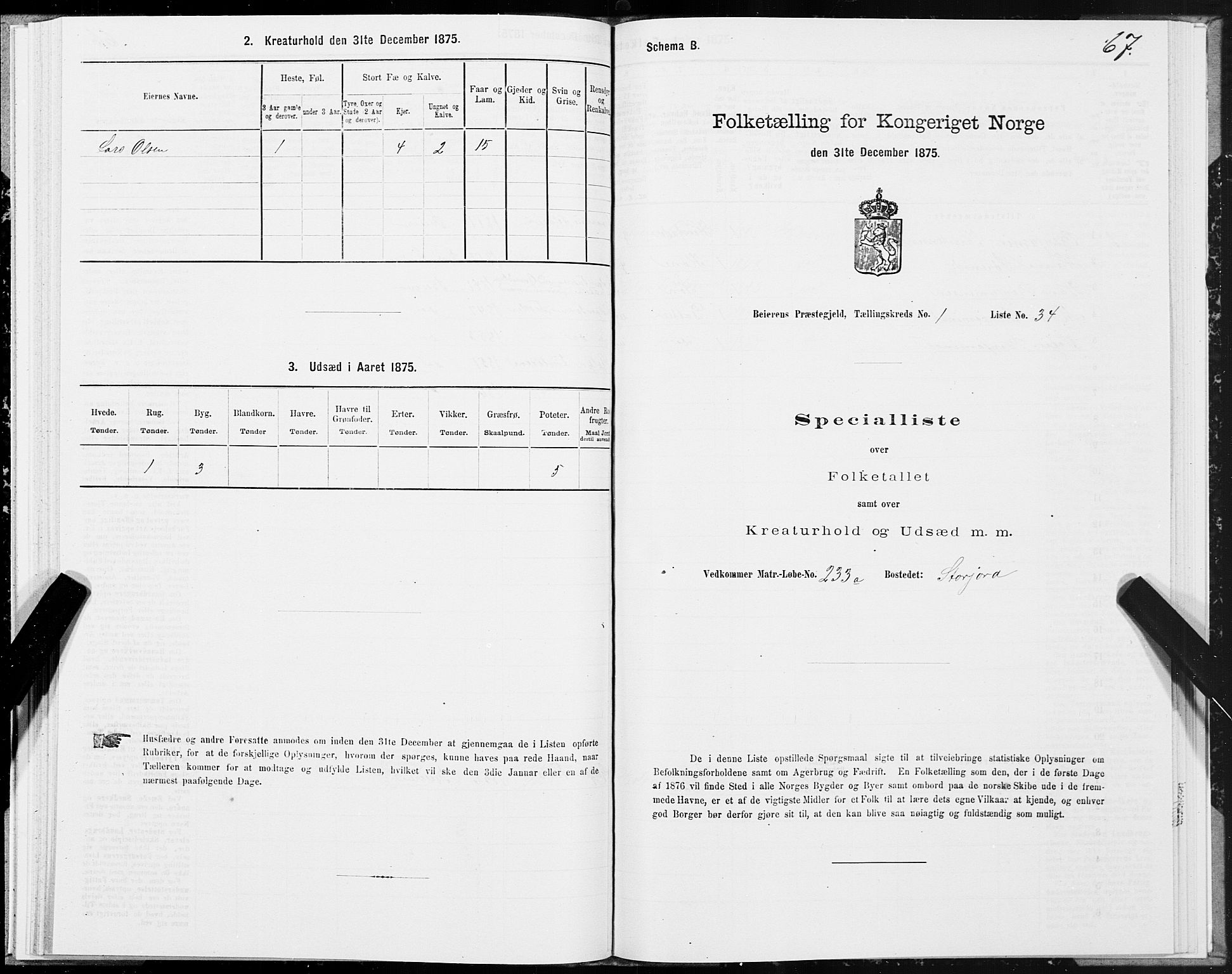 SAT, 1875 census for 1839P Beiarn, 1875, p. 1067