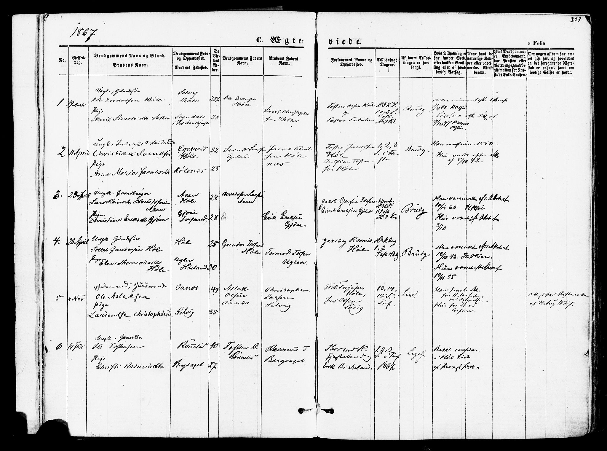 Høgsfjord sokneprestkontor, SAST/A-101624/H/Ha/Haa/L0002: Parish register (official) no. A 2, 1855-1885, p. 233