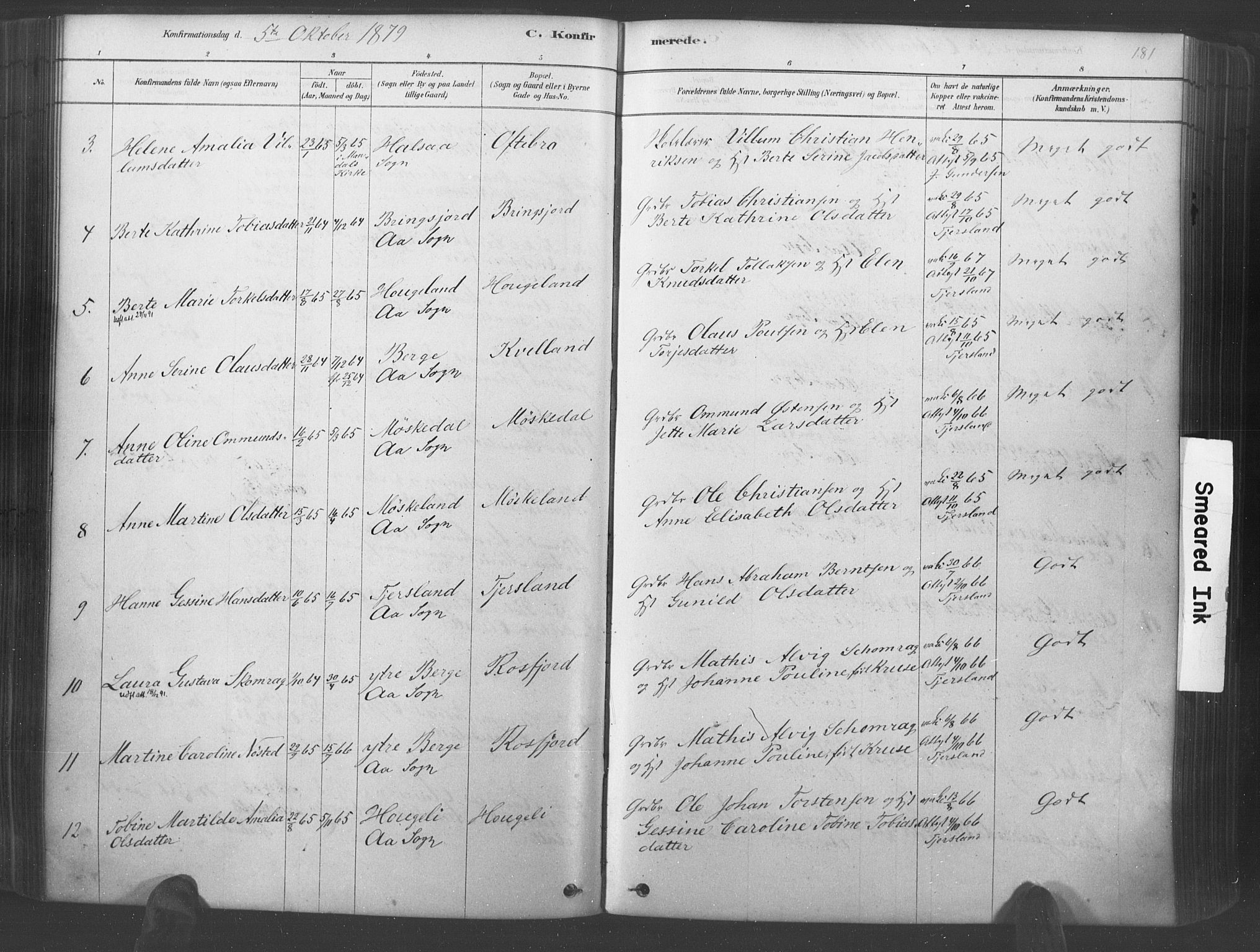 Lyngdal sokneprestkontor, AV/SAK-1111-0029/F/Fa/Fac/L0011: Parish register (official) no. A 11, 1878-1893, p. 181