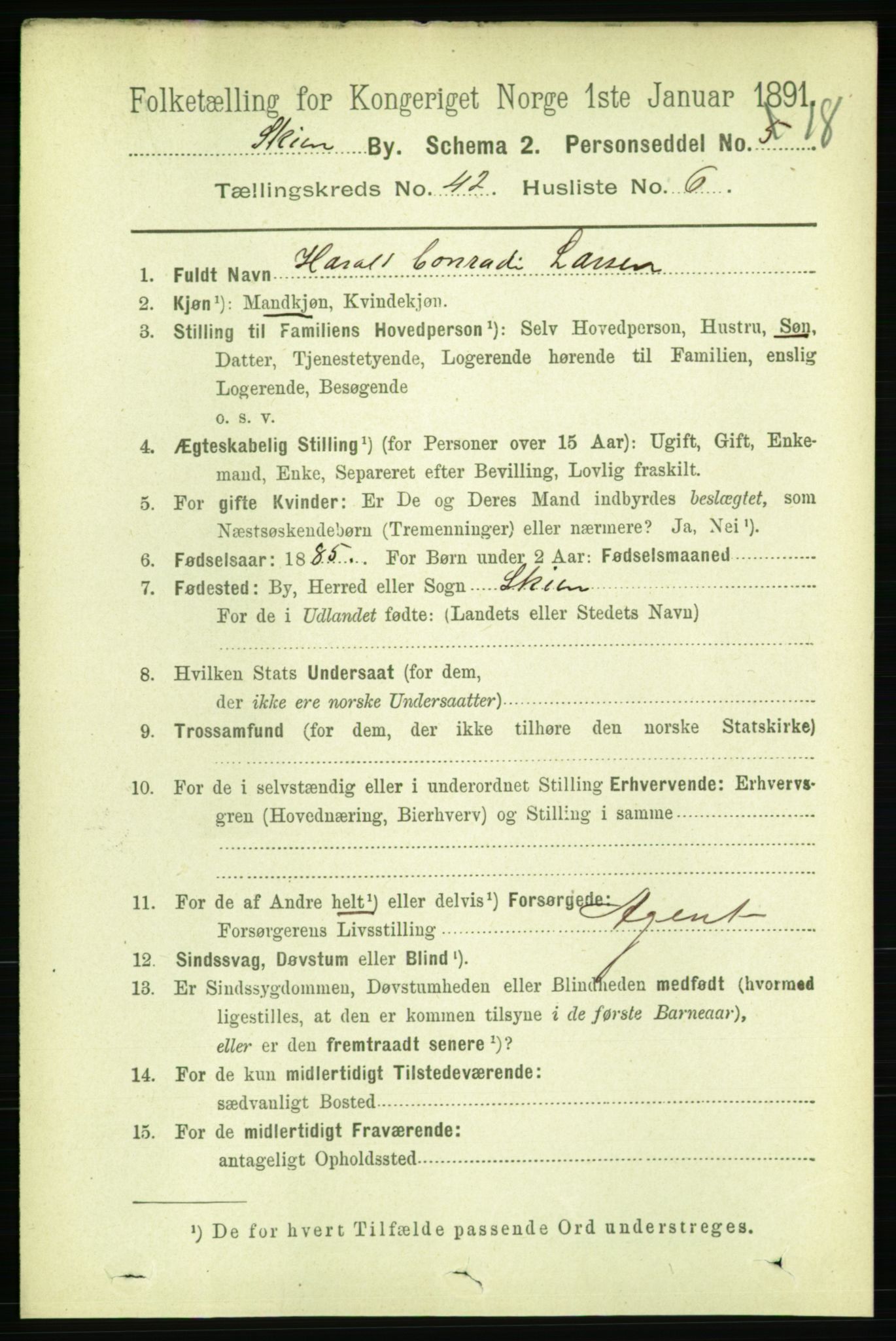 RA, 1891 census for 0806 Skien, 1891, p. 8581