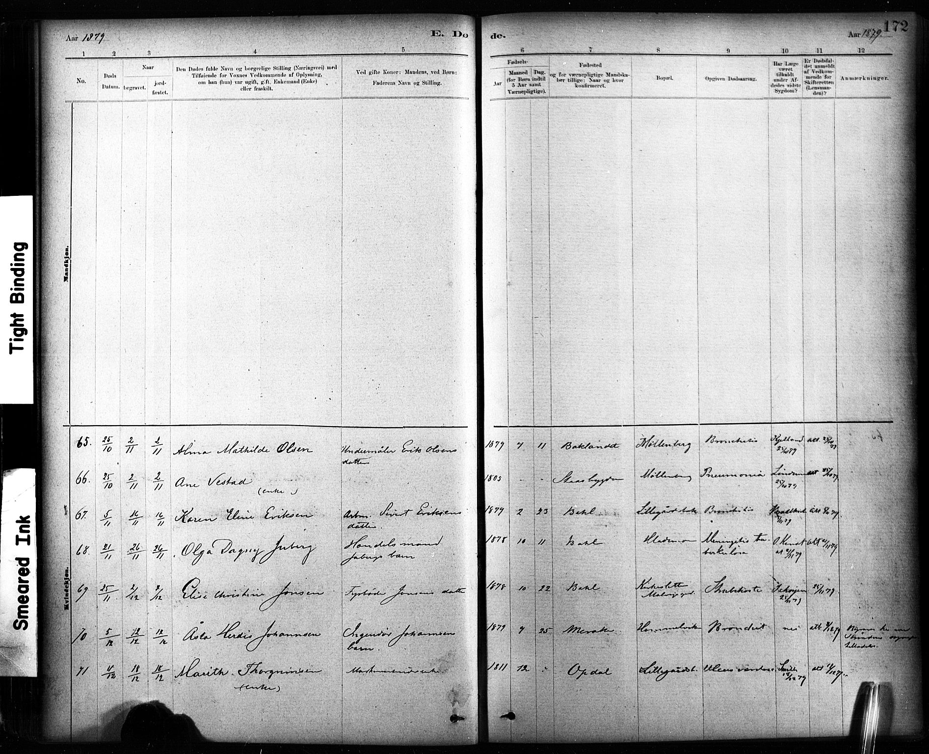 Ministerialprotokoller, klokkerbøker og fødselsregistre - Sør-Trøndelag, AV/SAT-A-1456/604/L0189: Parish register (official) no. 604A10, 1878-1892, p. 172