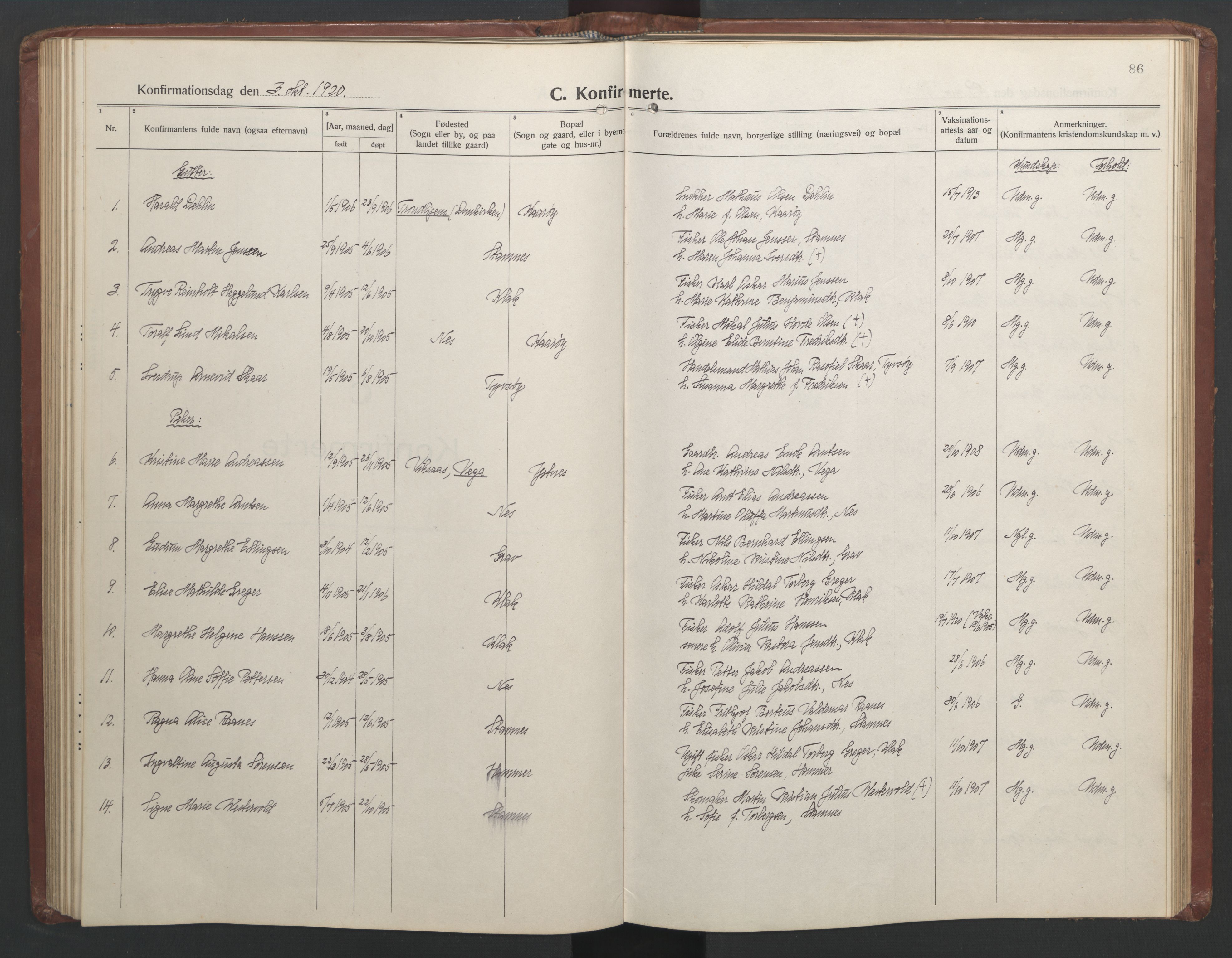 Ministerialprotokoller, klokkerbøker og fødselsregistre - Nordland, AV/SAT-A-1459/808/L0132: Parish register (copy) no. 808C03, 1920-1946, p. 86