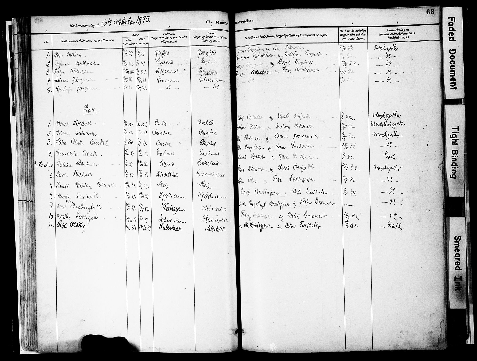 Sirdal sokneprestkontor, SAK/1111-0036/F/Fa/Faa/L0001: Parish register (official) no. A 1, 1887-1910, p. 63