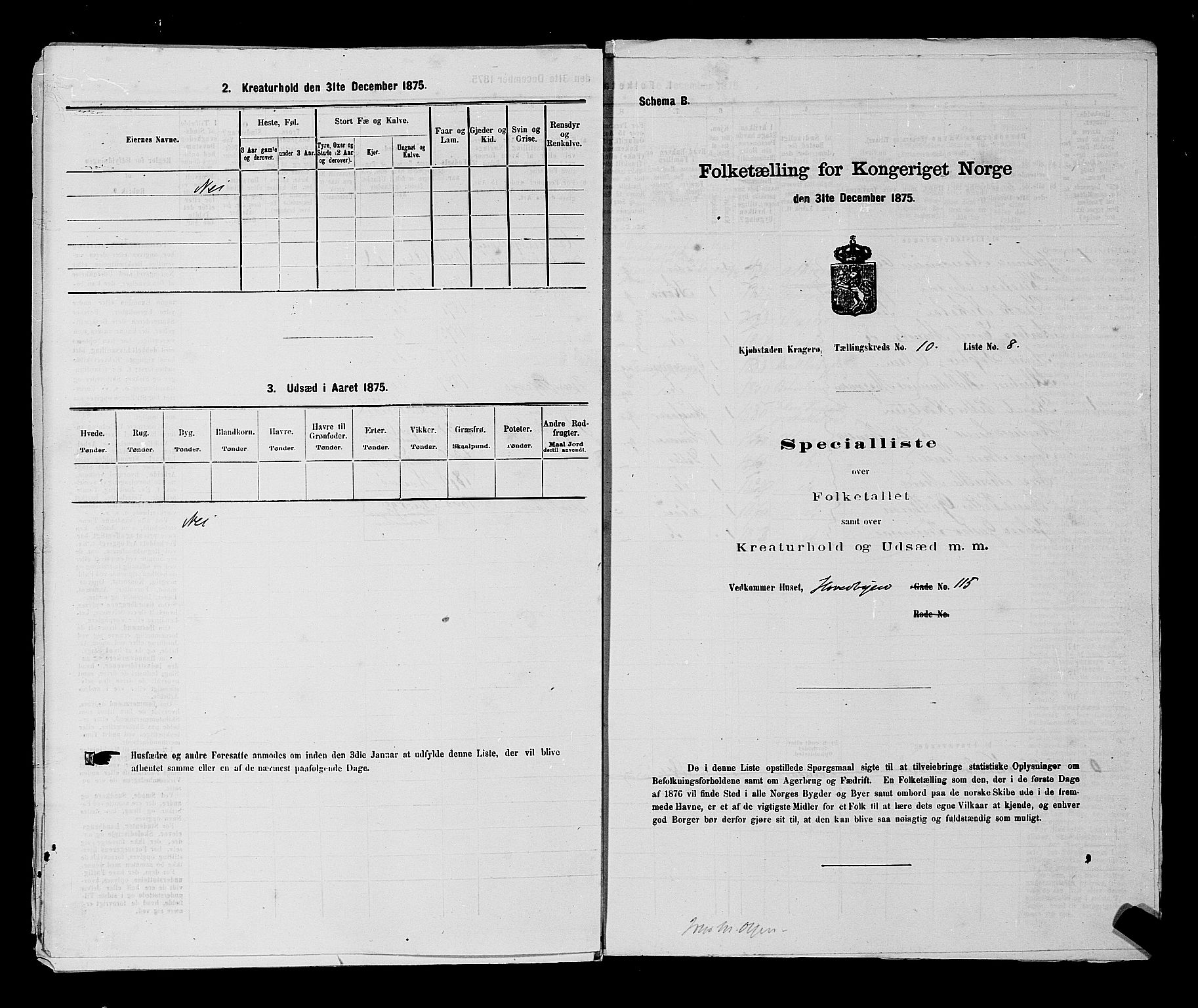 SAKO, 1875 census for 0801P Kragerø, 1875, p. 228