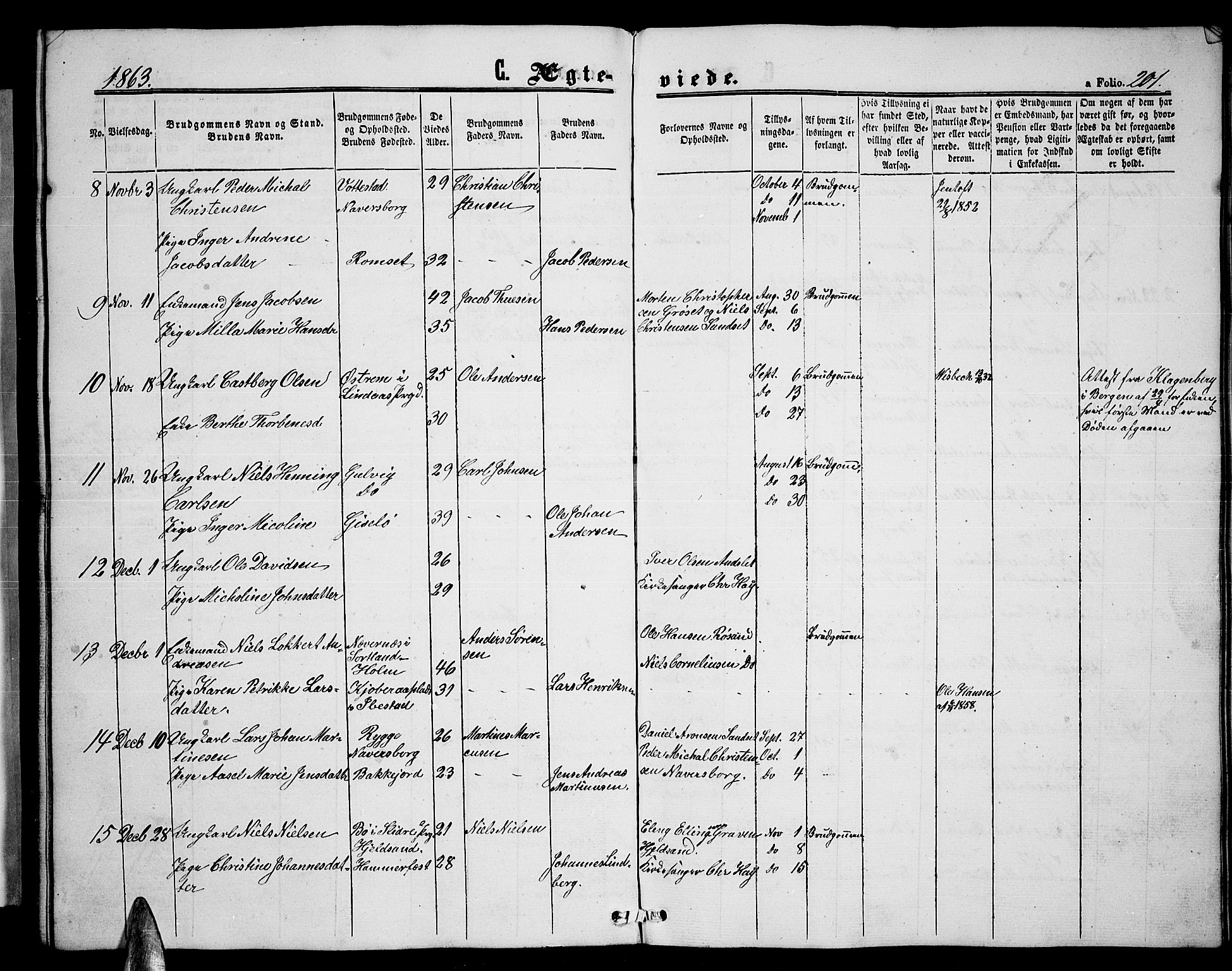 Ministerialprotokoller, klokkerbøker og fødselsregistre - Nordland, AV/SAT-A-1459/893/L1347: Parish register (copy) no. 893C02, 1858-1866, p. 201