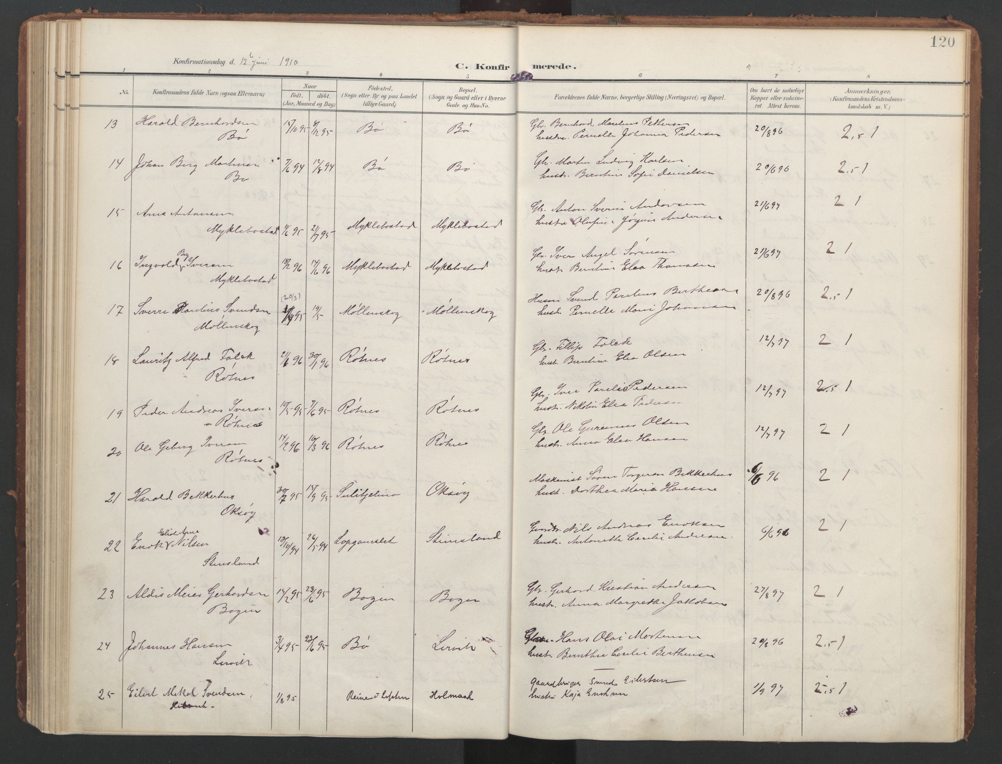 Ministerialprotokoller, klokkerbøker og fødselsregistre - Nordland, AV/SAT-A-1459/855/L0805: Parish register (official) no. 855A13, 1906-1920, p. 120