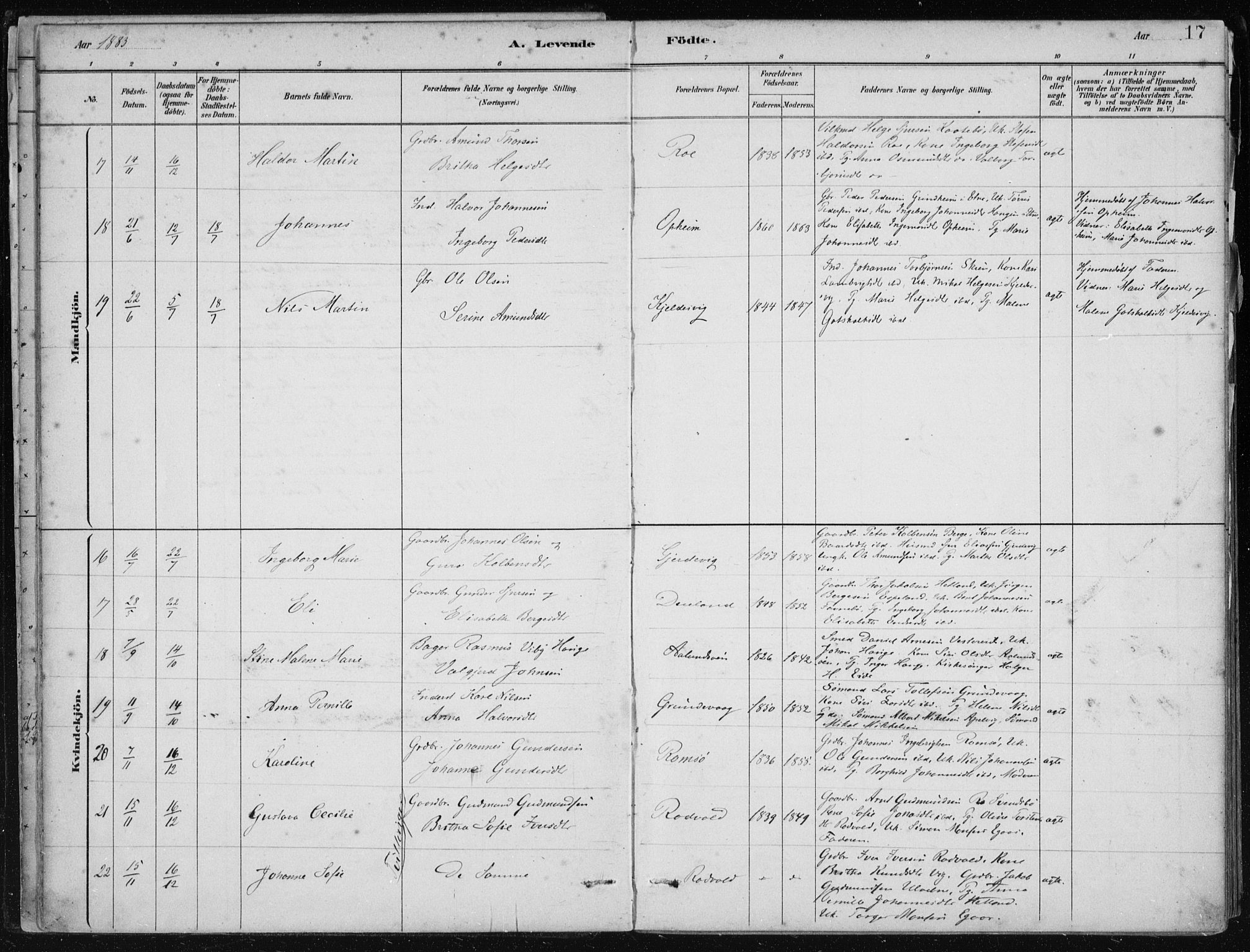 Fjelberg sokneprestembete, AV/SAB-A-75201/H/Haa: Parish register (official) no. D 1, 1879-1918, p. 17