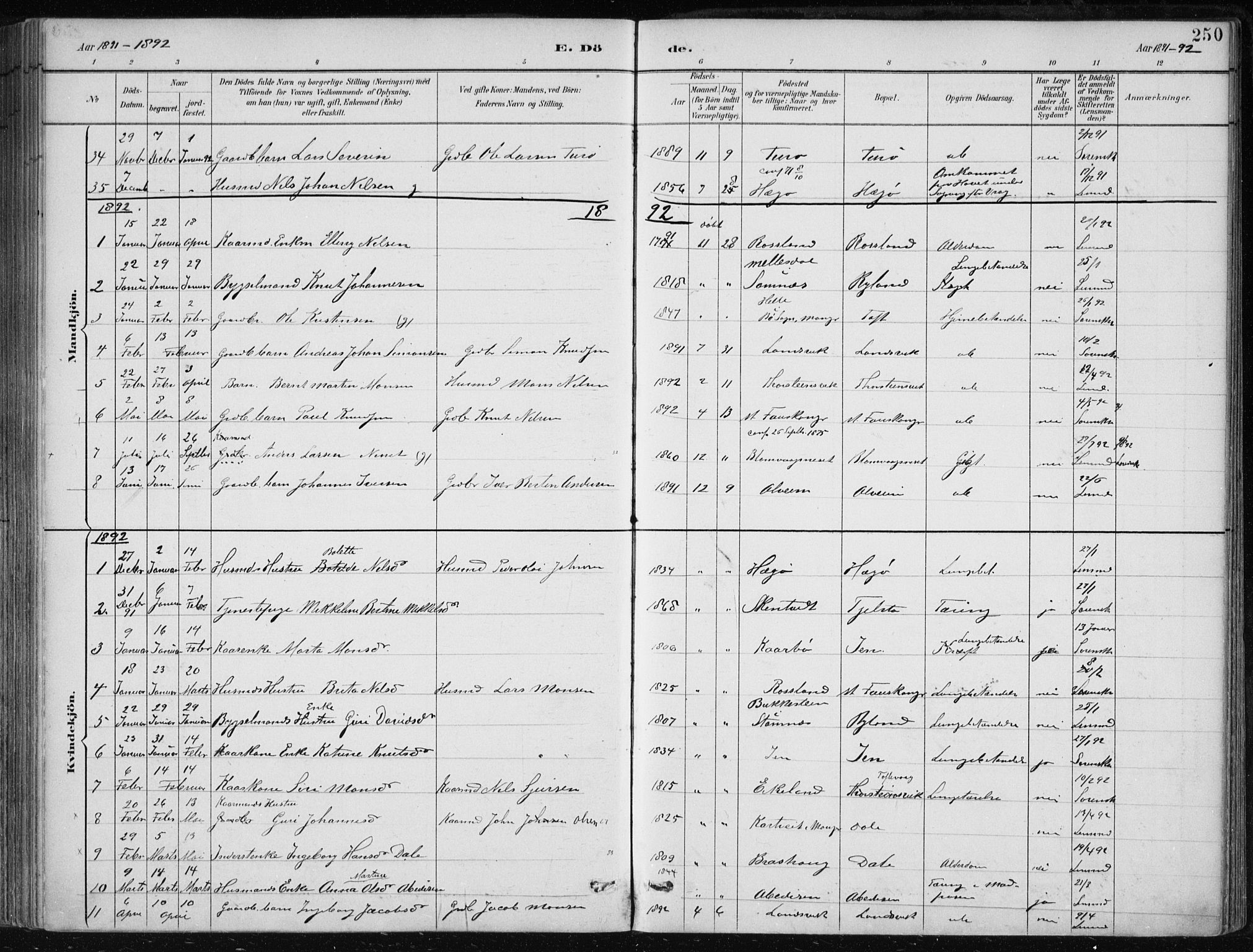 Herdla Sokneprestembete, SAB/A-75701/H/Haa: Parish register (official) no. A 4, 1891-1905, p. 250