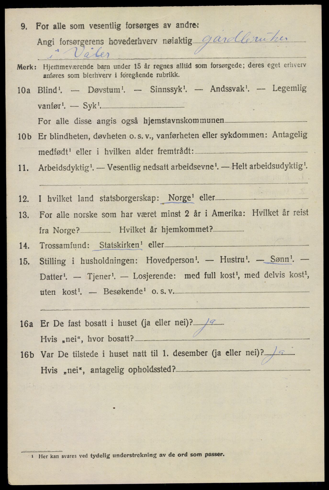 SAO, 1920 census for Våler, 1920, p. 1381