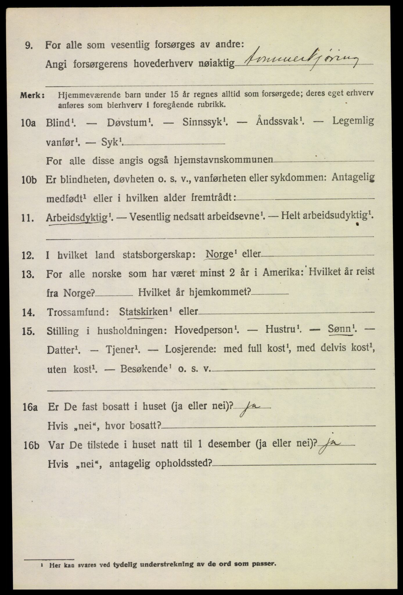 SAH, 1920 census for Stor-Elvdal, 1920, p. 4989