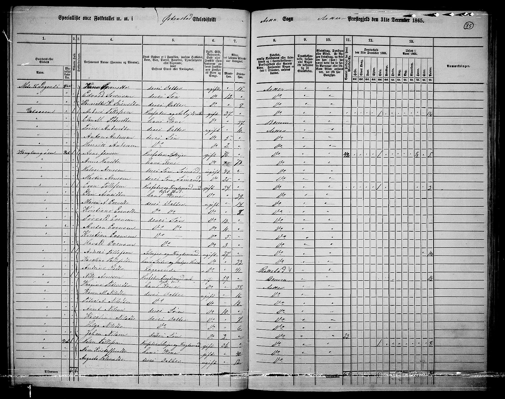 RA, 1865 census for Asker, 1865, p. 81