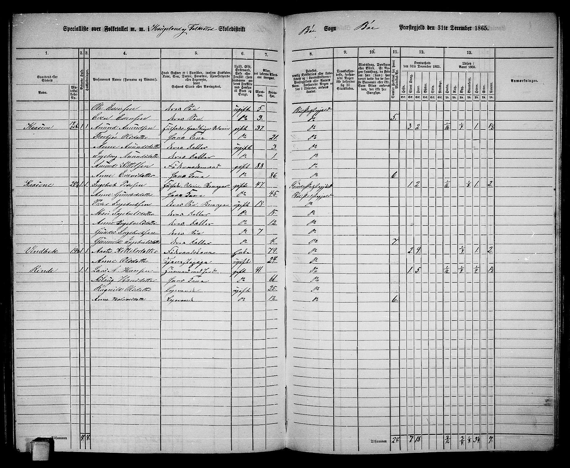 RA, 1865 census for Bø, 1865, p. 138