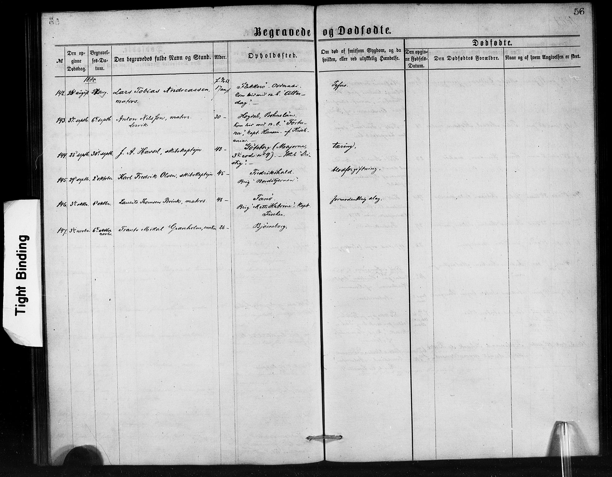 Den norske sjømannsmisjon i utlandet/Antwerpen, SAB/SAB/PA-0105/H/Ha/L0001: Parish register (official) no. A 1, 1865-1887, p. 56