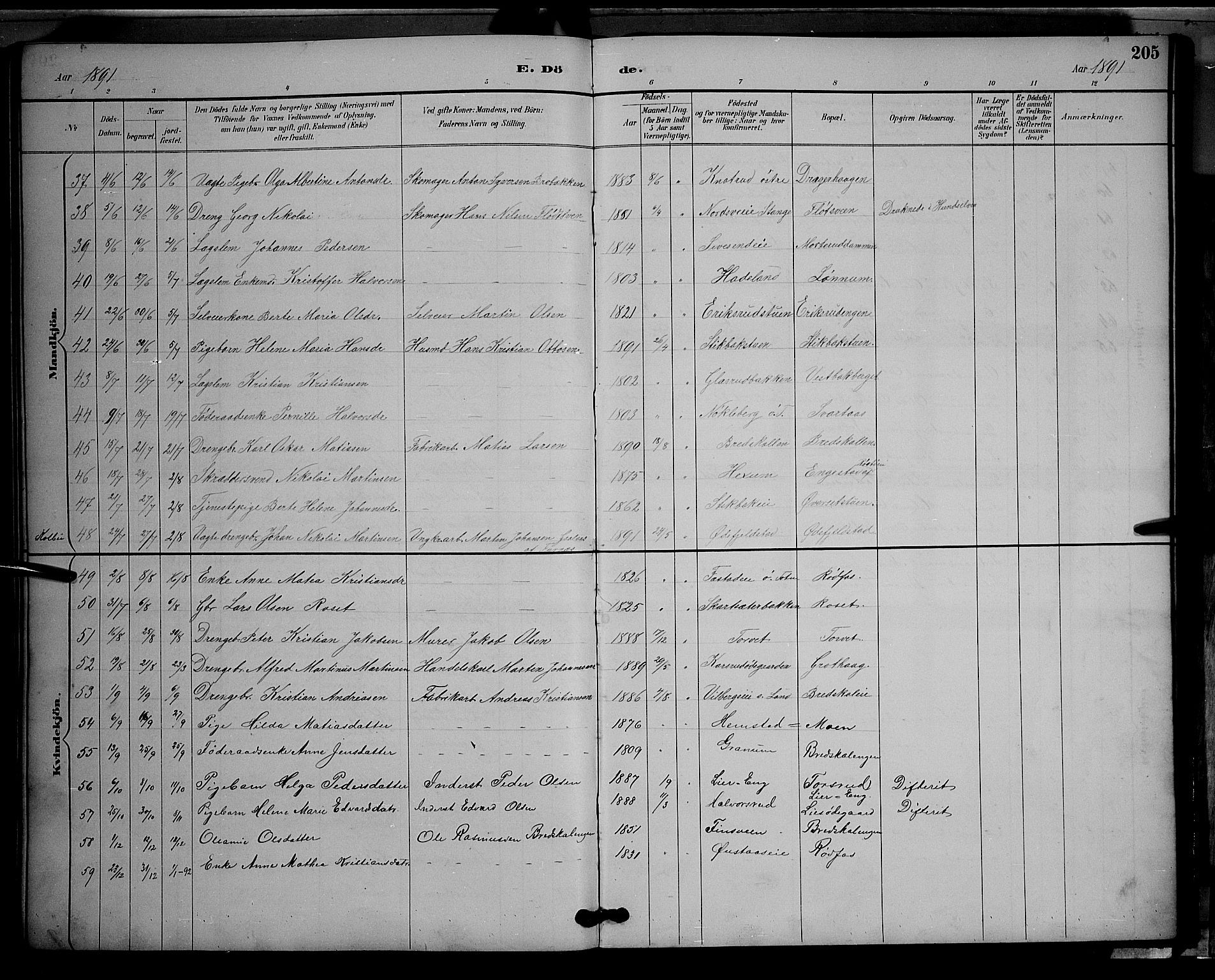 Vestre Toten prestekontor, AV/SAH-PREST-108/H/Ha/Hab/L0009: Parish register (copy) no. 9, 1888-1900, p. 205