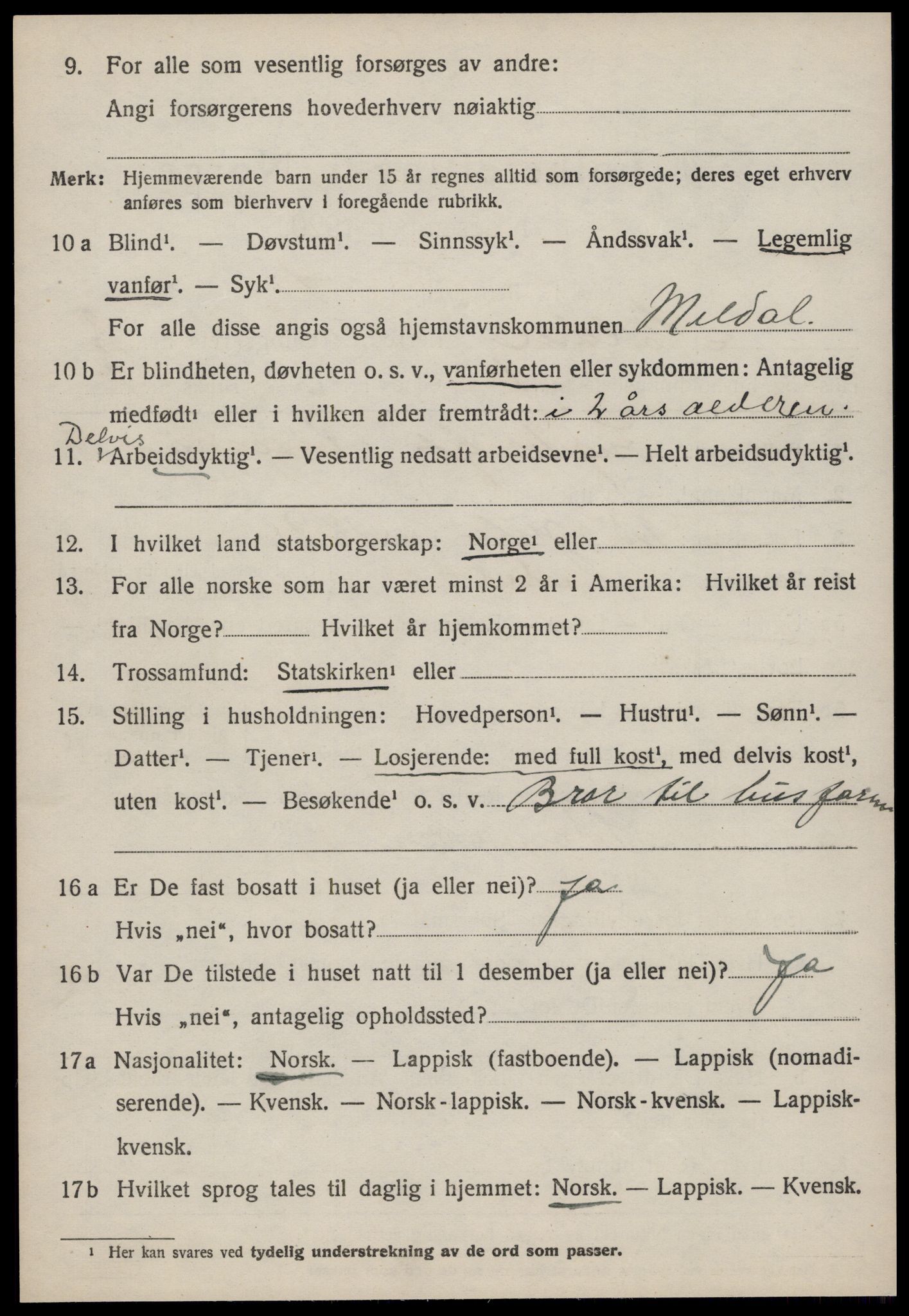 SAT, 1920 census for Meldal, 1920, p. 2028