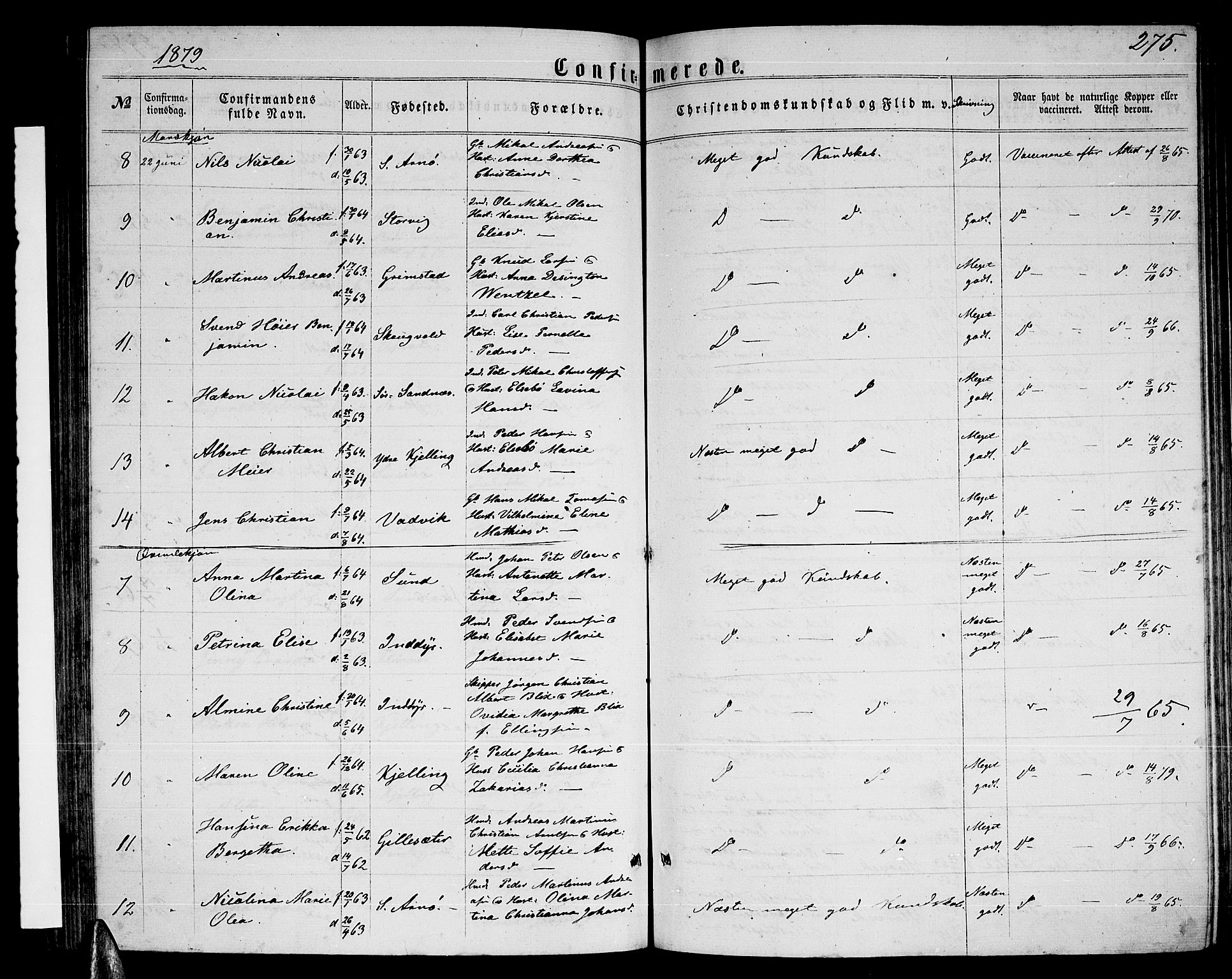 Ministerialprotokoller, klokkerbøker og fødselsregistre - Nordland, AV/SAT-A-1459/805/L0107: Parish register (copy) no. 805C03, 1862-1885, p. 275