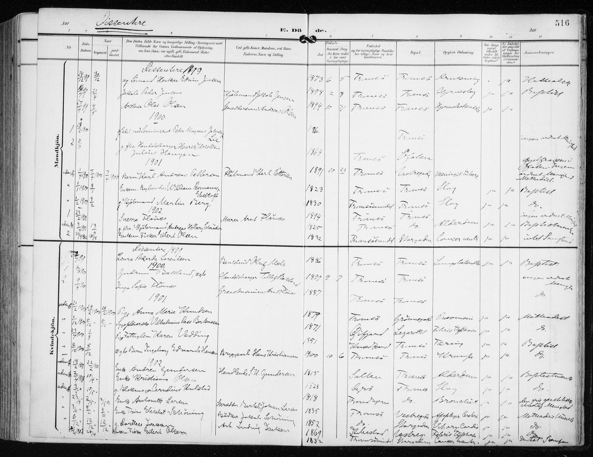 Tromsø sokneprestkontor/stiftsprosti/domprosti, SATØ/S-1343/G/Ga/L0016kirke: Parish register (official) no. 16, 1899-1906, p. 516