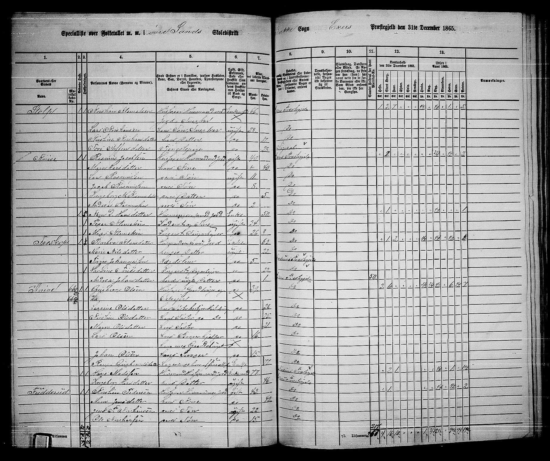 RA, 1865 census for Eiker, 1865, p. 462