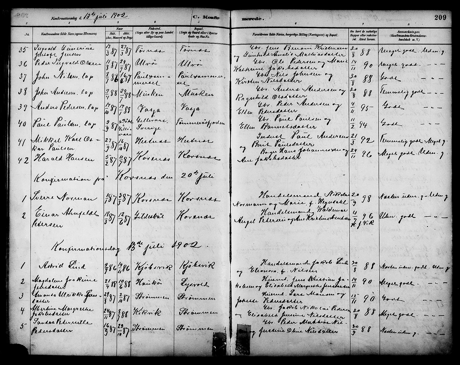 Ministerialprotokoller, klokkerbøker og fødselsregistre - Nordland, AV/SAT-A-1459/861/L0869: Parish register (official) no. 861A04, 1889-1903, p. 209