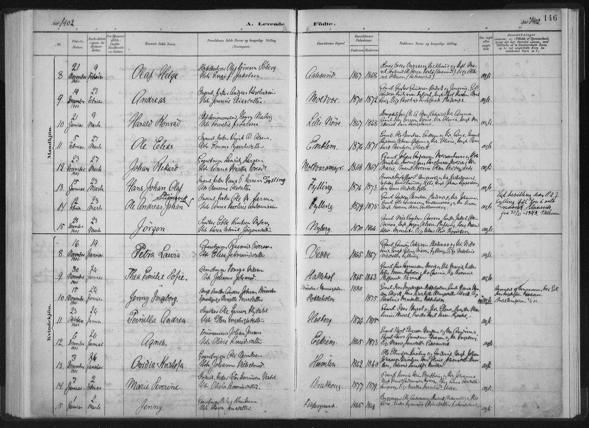 Ministerialprotokoller, klokkerbøker og fødselsregistre - Møre og Romsdal, AV/SAT-A-1454/528/L0405: Parish register (official) no. 528A14, 1891-1906, p. 146