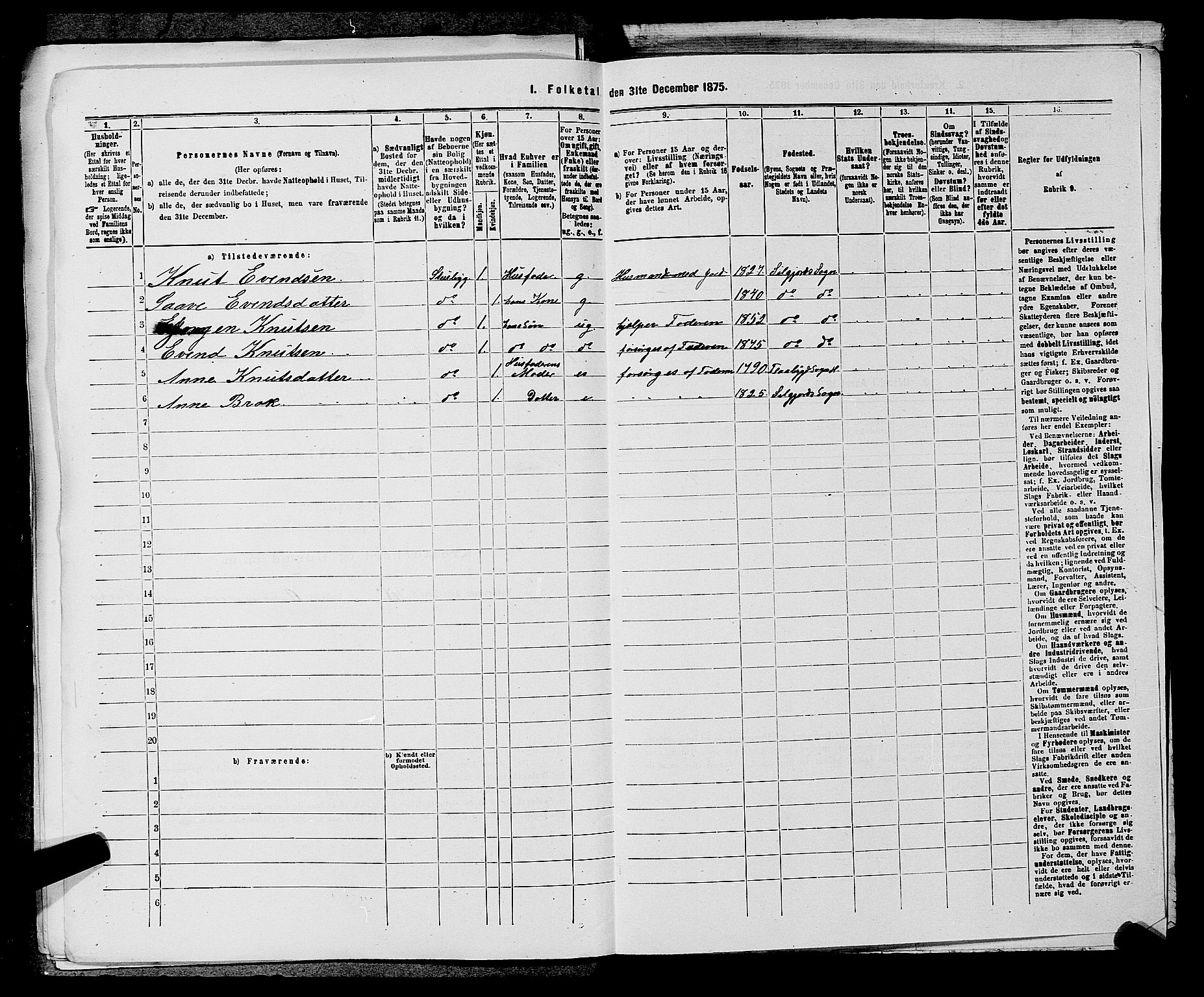 SAKO, 1875 census for 0828P Seljord, 1875, p. 807