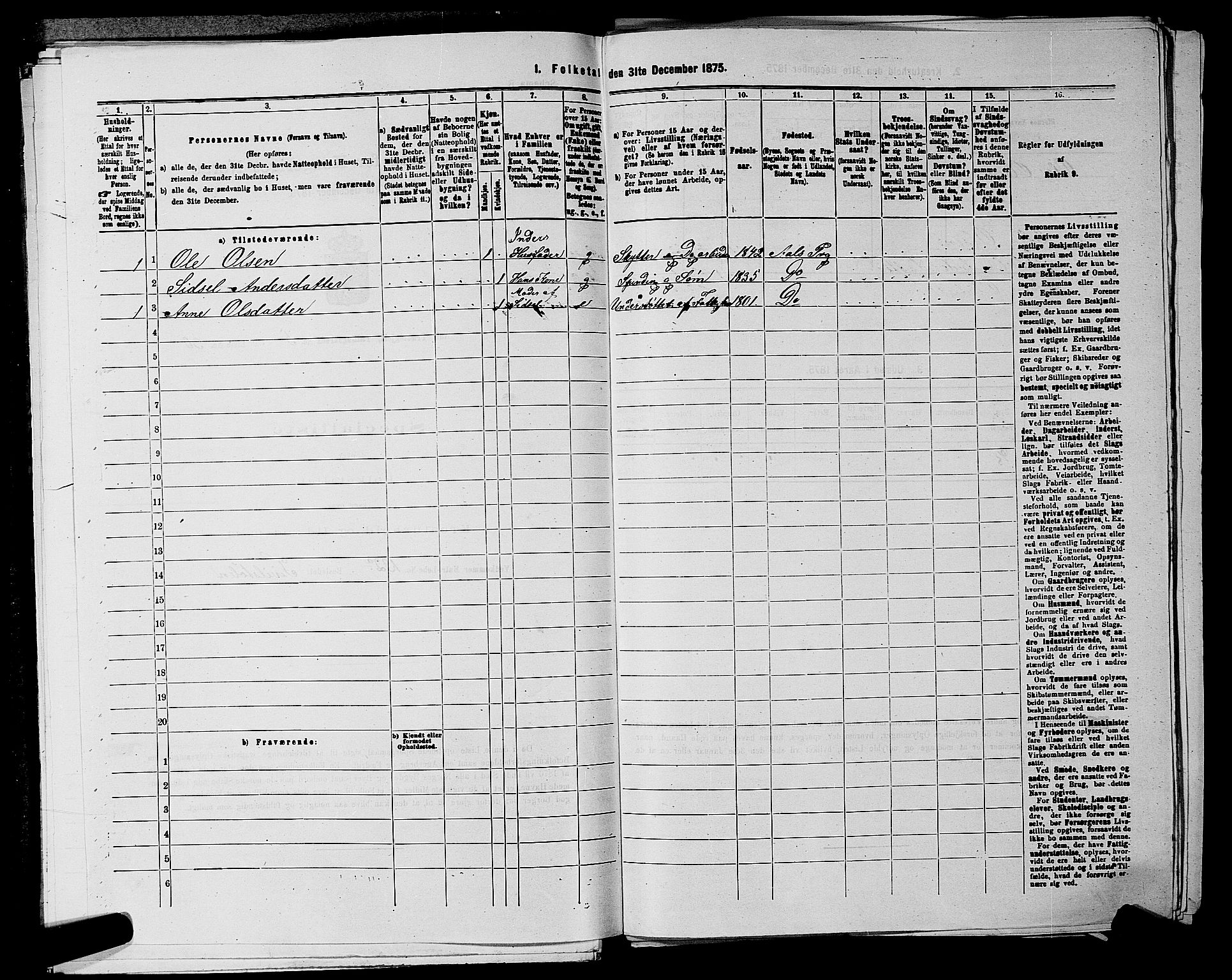 SAKO, 1875 census for 0619P Ål, 1875, p. 675