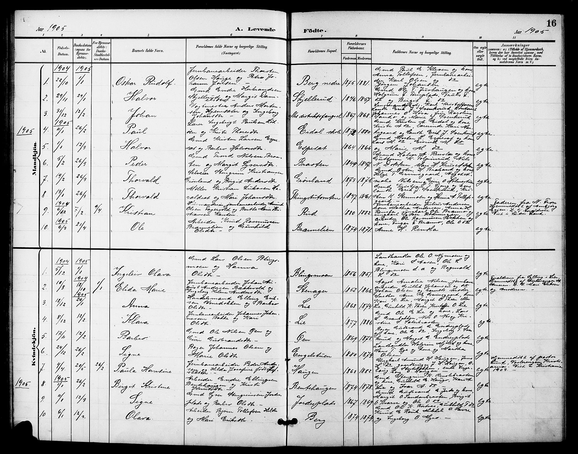 Nes kirkebøker, SAKO/A-236/G/Ga/L0004: Parish register (copy) no. I 4, 1900-1925, p. 16
