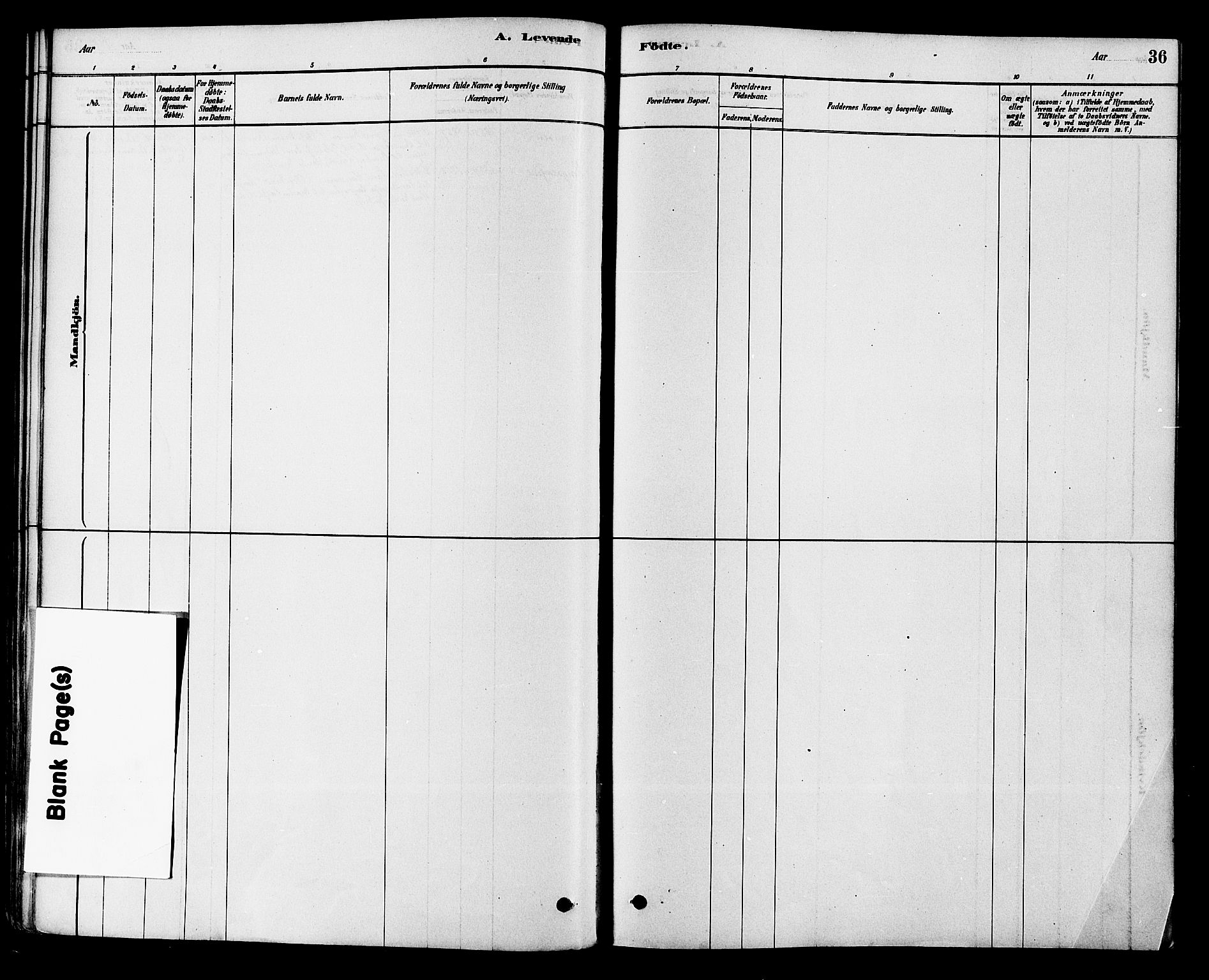 Modum kirkebøker, AV/SAKO-A-234/F/Fa/L0015: Parish register (official) no. 15 /1, 1877-1889, p. 36