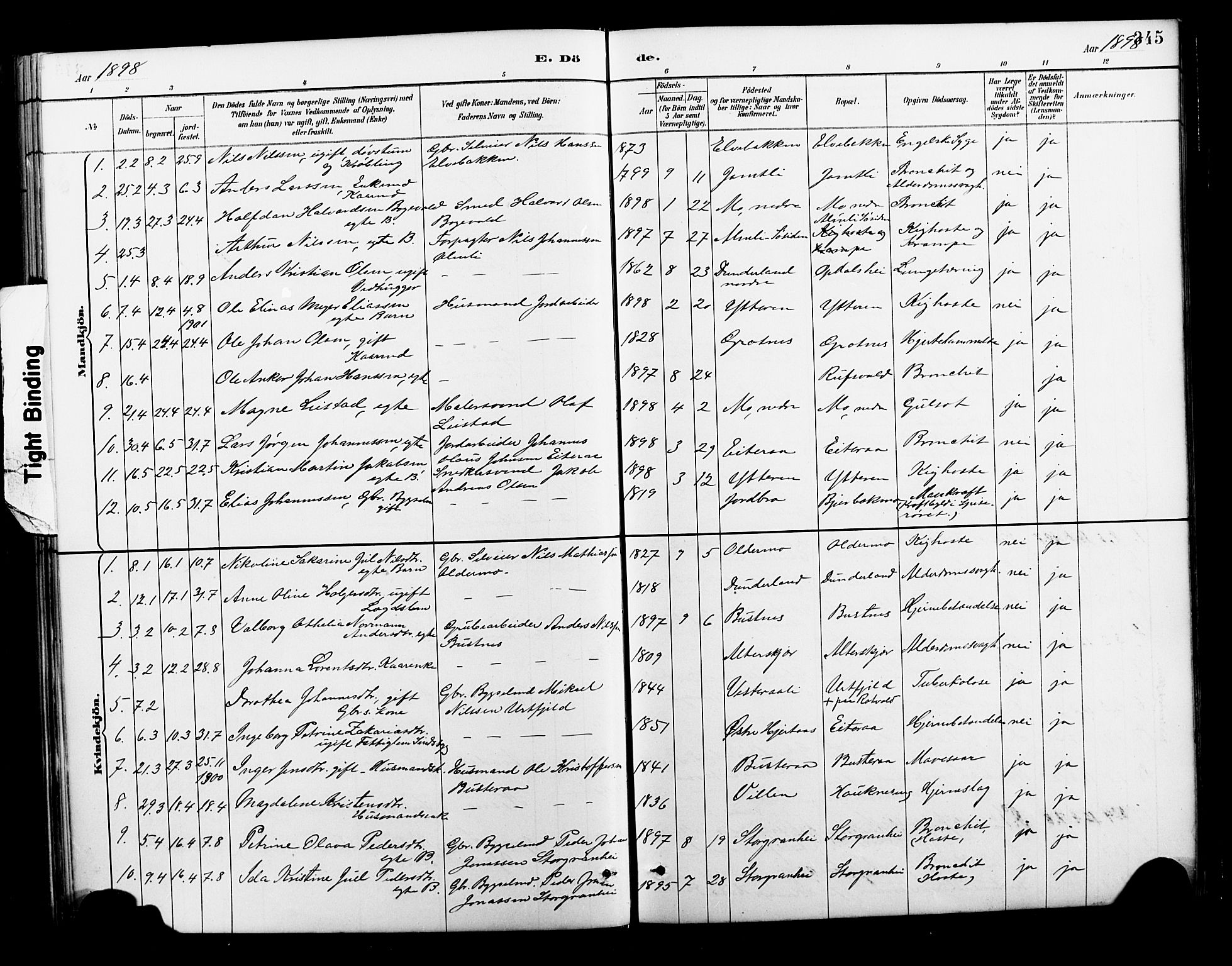 Ministerialprotokoller, klokkerbøker og fødselsregistre - Nordland, AV/SAT-A-1459/827/L0421: Parish register (copy) no. 827C10, 1887-1906, p. 345