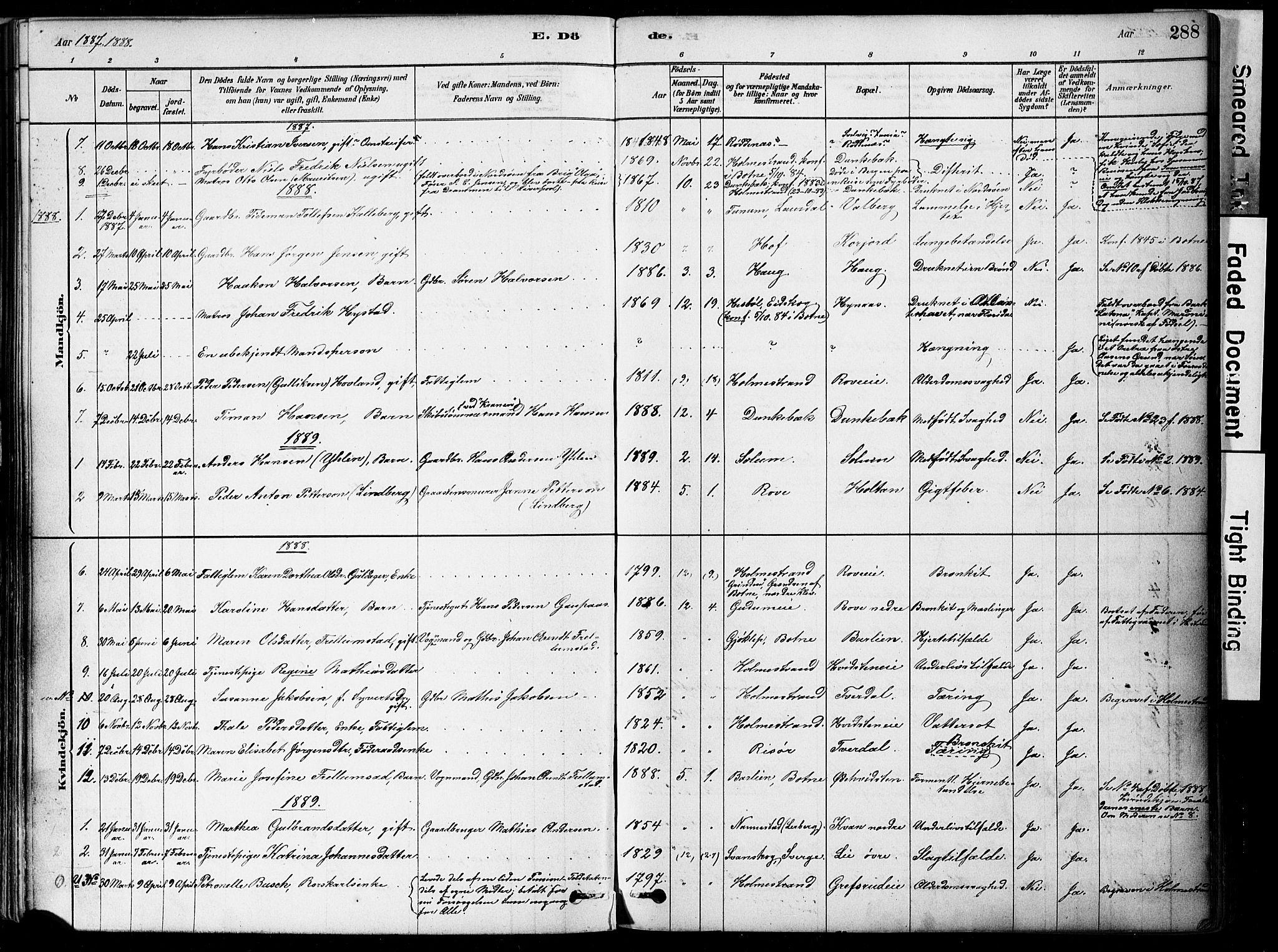 Botne kirkebøker, SAKO/A-340/F/Fa/L0007: Parish register (official) no. I 7, 1878-1910, p. 288